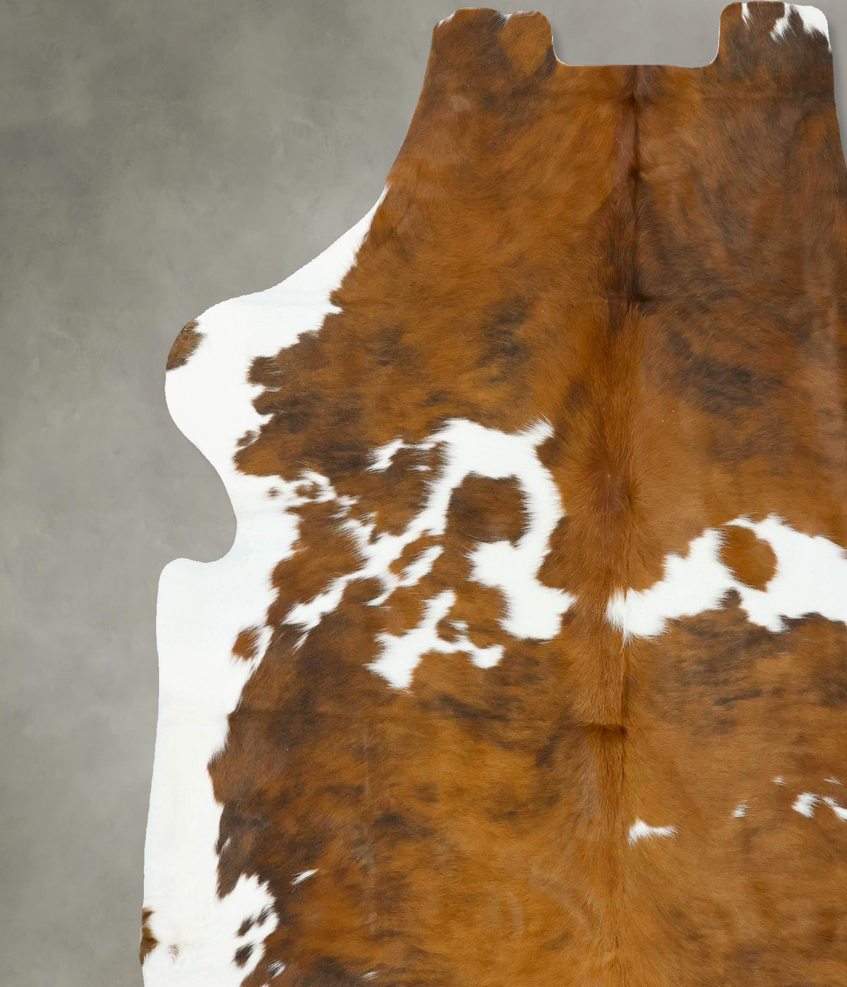 Tricolor XX-Large European Cowhide Rug 7'8"H x 6'11"W #B23207 by Hudson Hides
