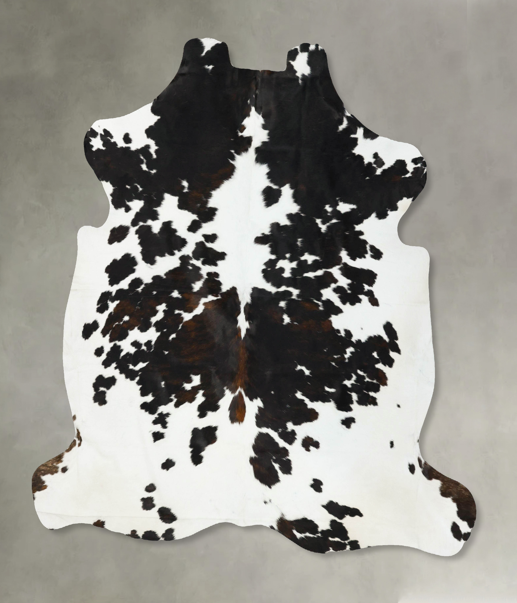 Tricolor Cowhide Rug #B23218