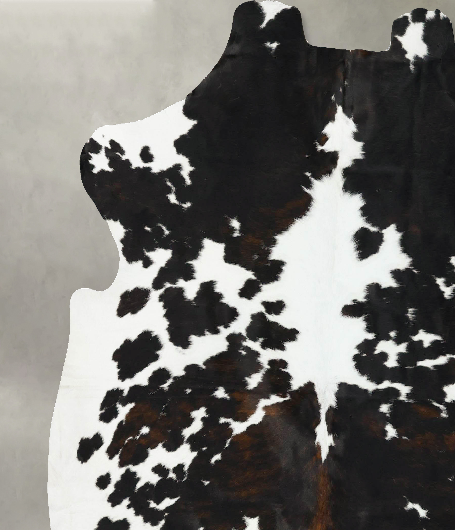 Tricolor Cowhide Rug #B23218