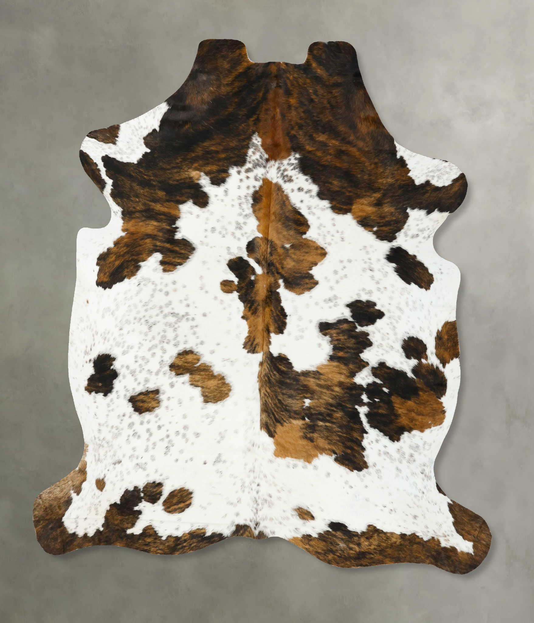 Tricolor Cowhide Rug #B23220