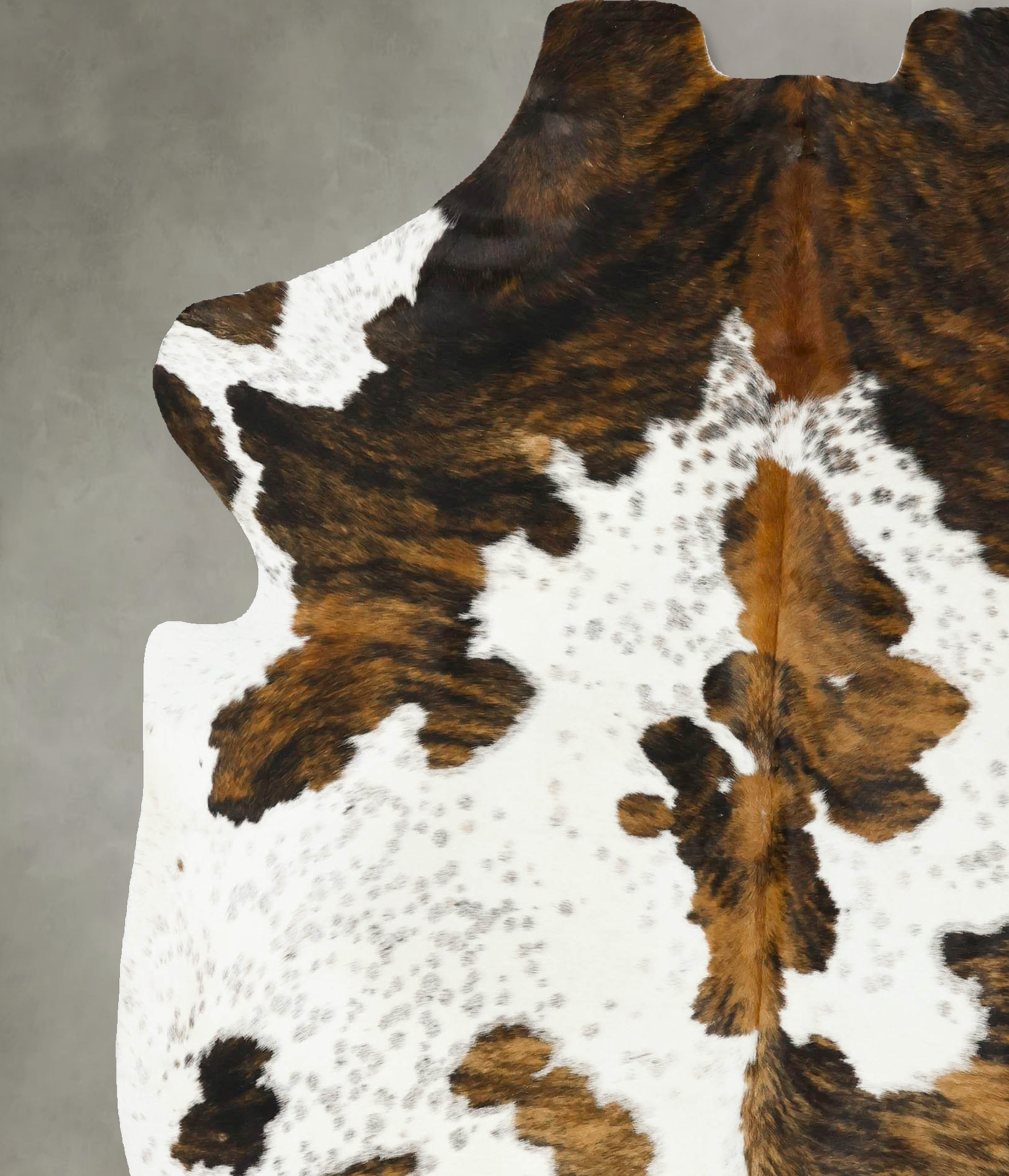 Tricolor Cowhide Rug #B23220
