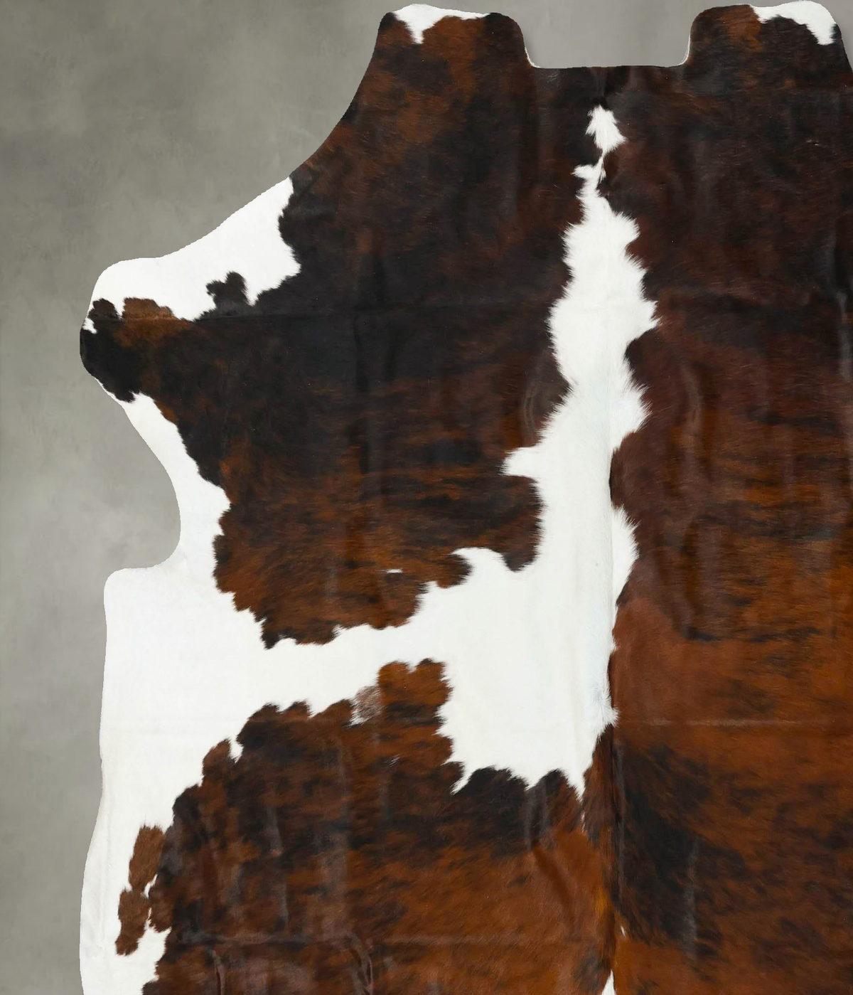 Tricolor XX-Large European Cowhide Rug 7'5"H x 6'10"W #B23221 by Hudson Hides