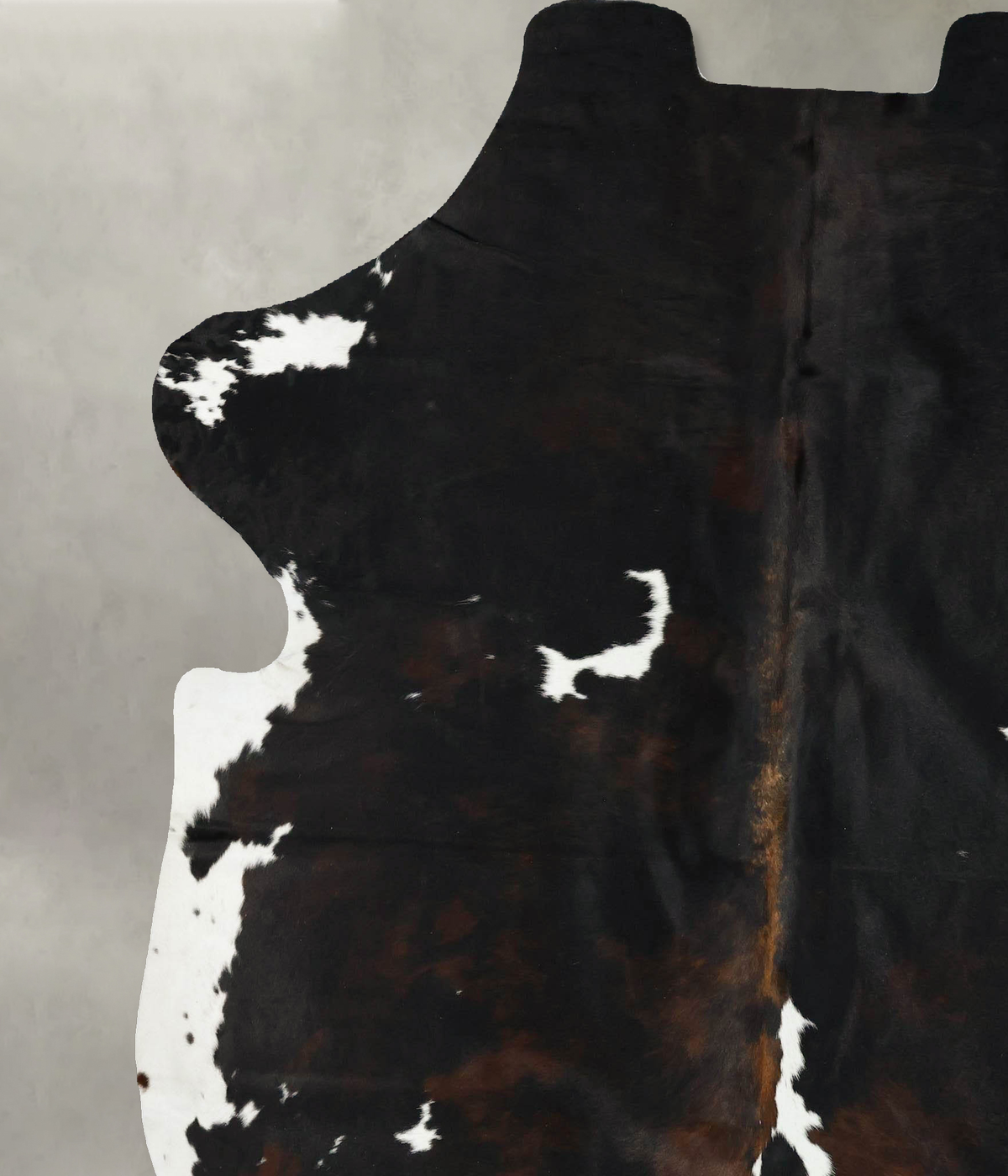 Tricolor XX-Large European Cowhide Rug 7'10"H x 6'10"W #B23223 by Hudson Hides