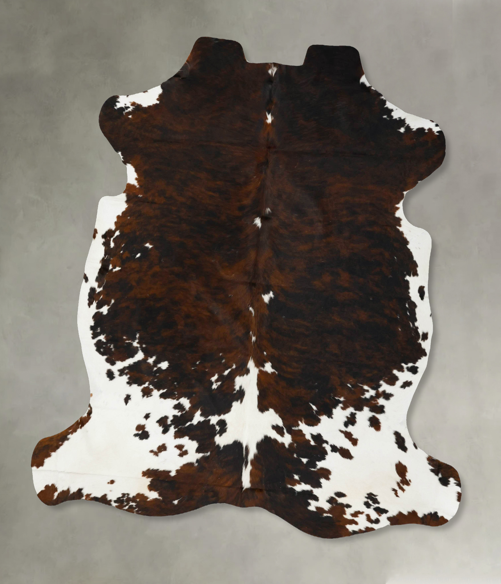 Tricolor Cowhide Rug #B23224