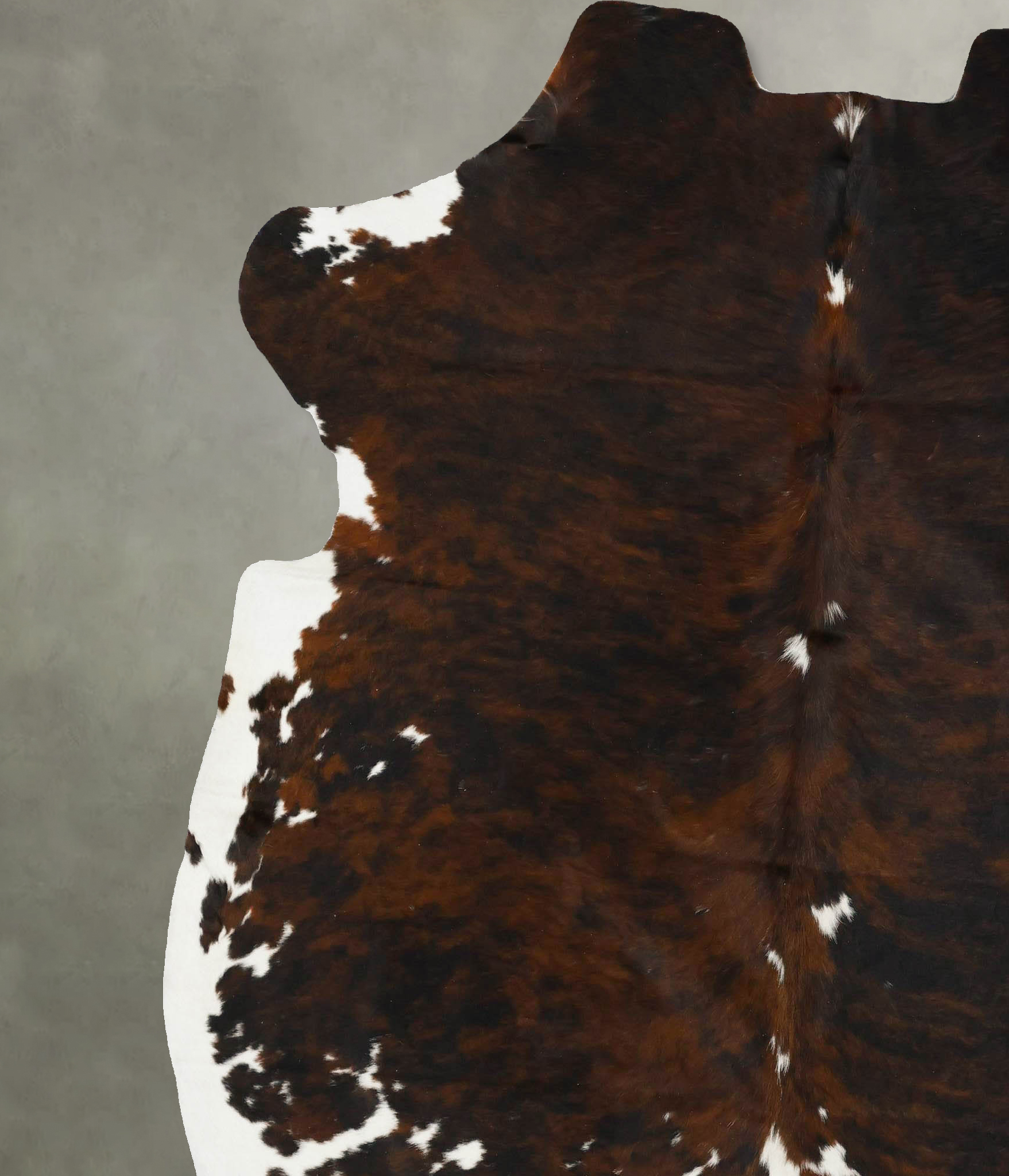 Tricolor Cowhide Rug #B23224
