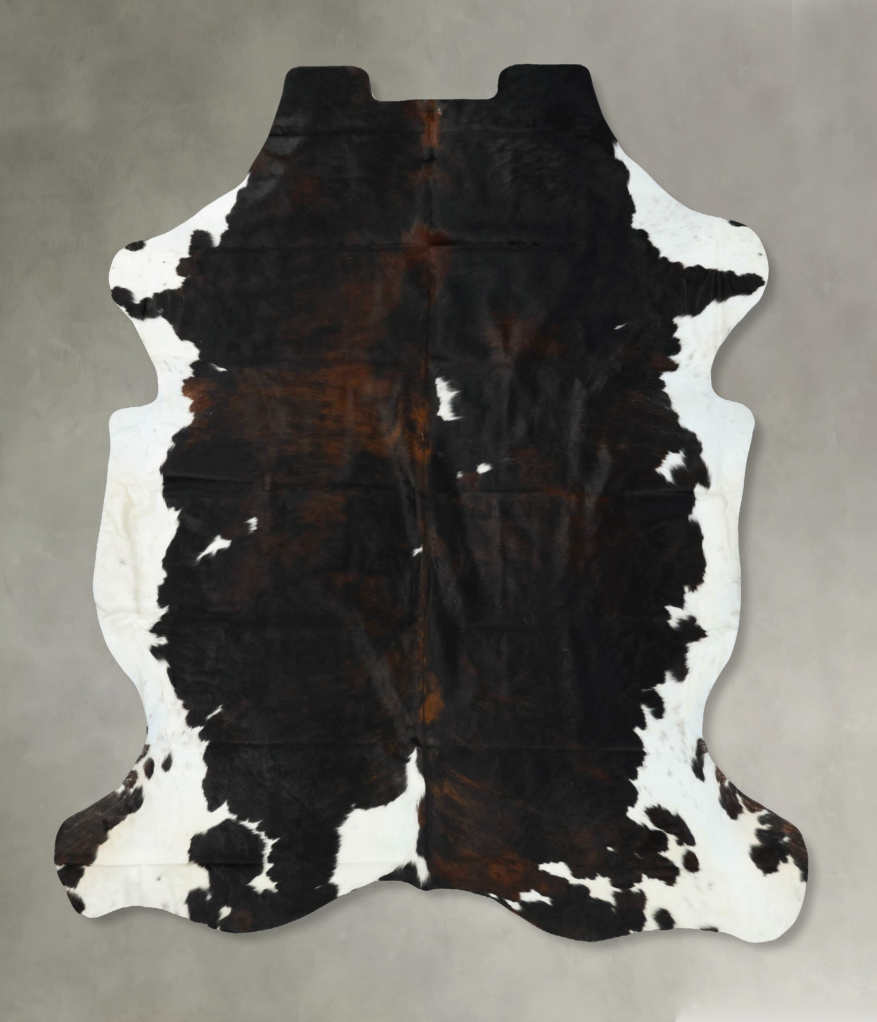 Tricolor Cowhide Rug #B23238