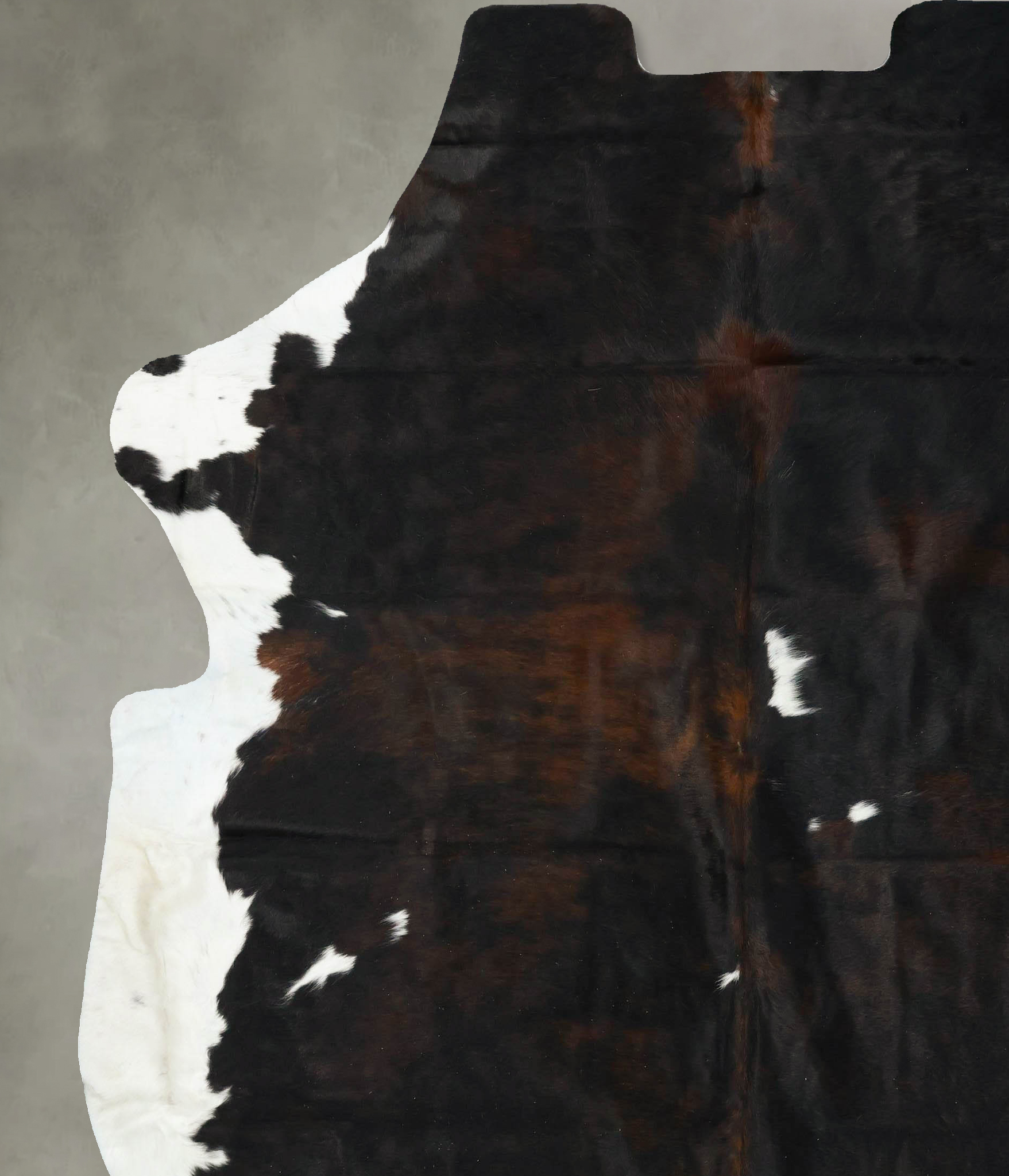 Tricolor Cowhide Rug #B23238