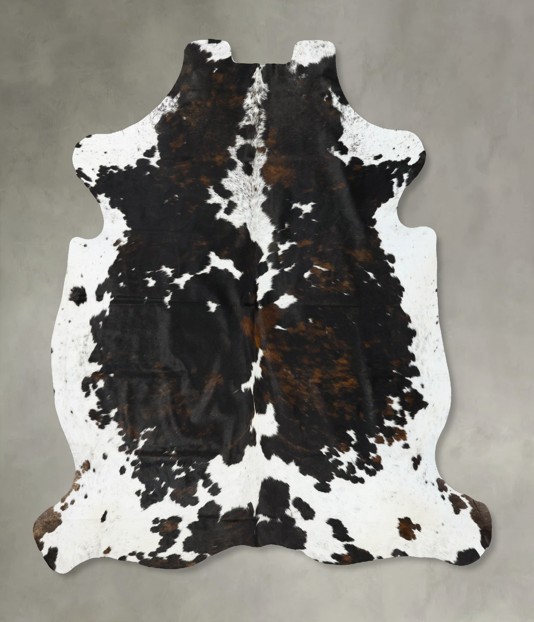 Tricolor Cowhide Rug #B23244
