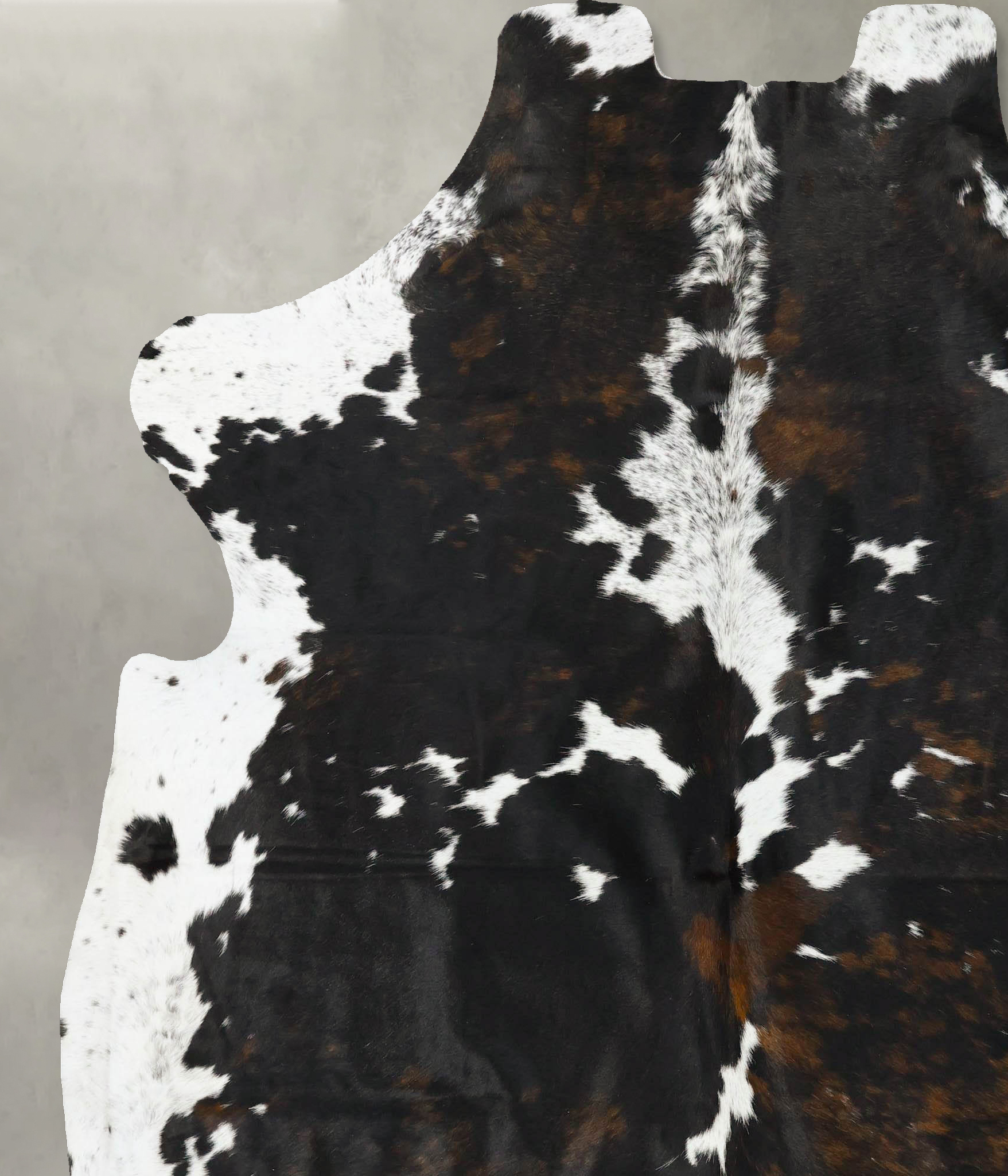 Tricolor Cowhide Rug #B23244