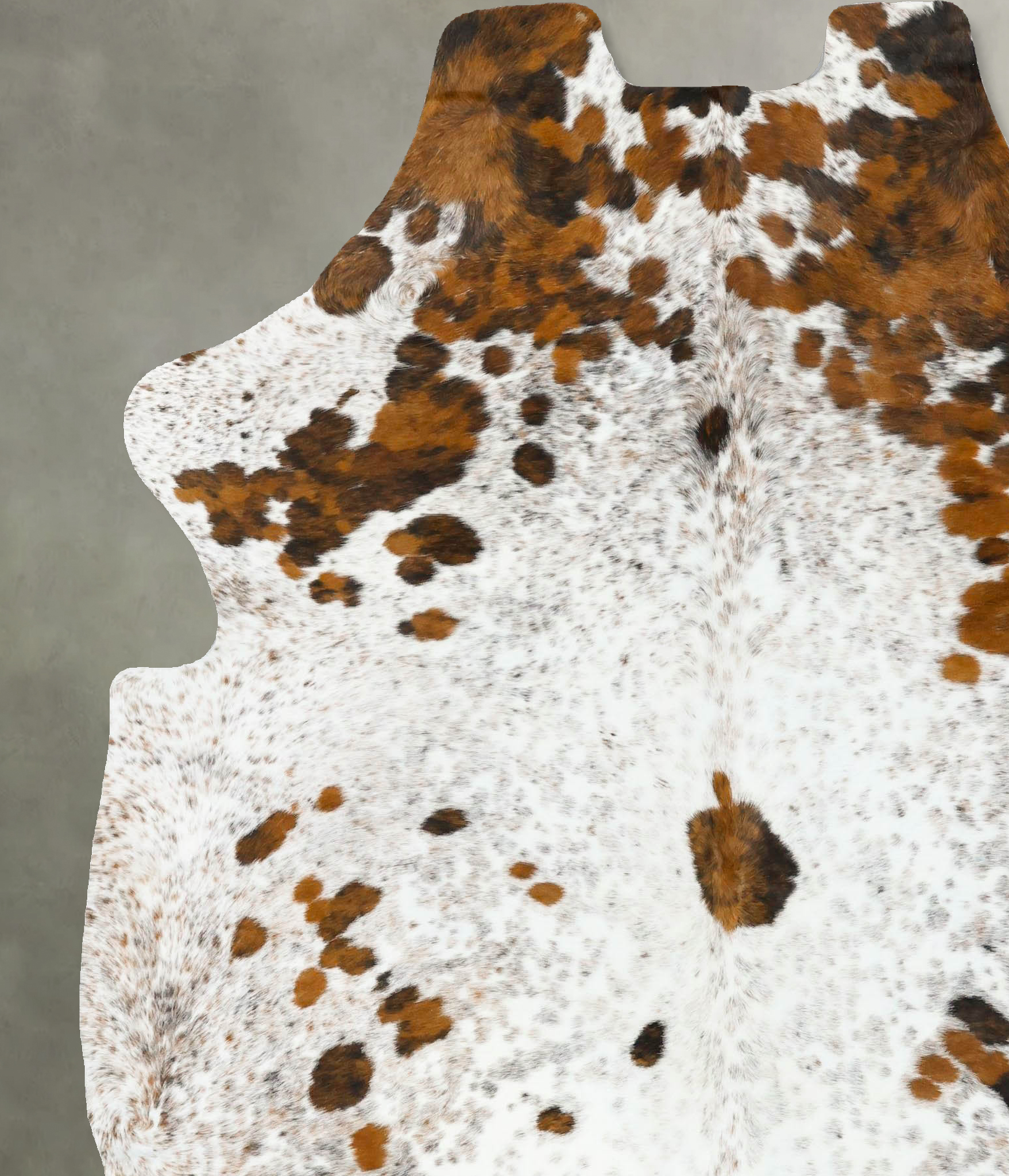 Tricolor Cowhide Rug #B23253