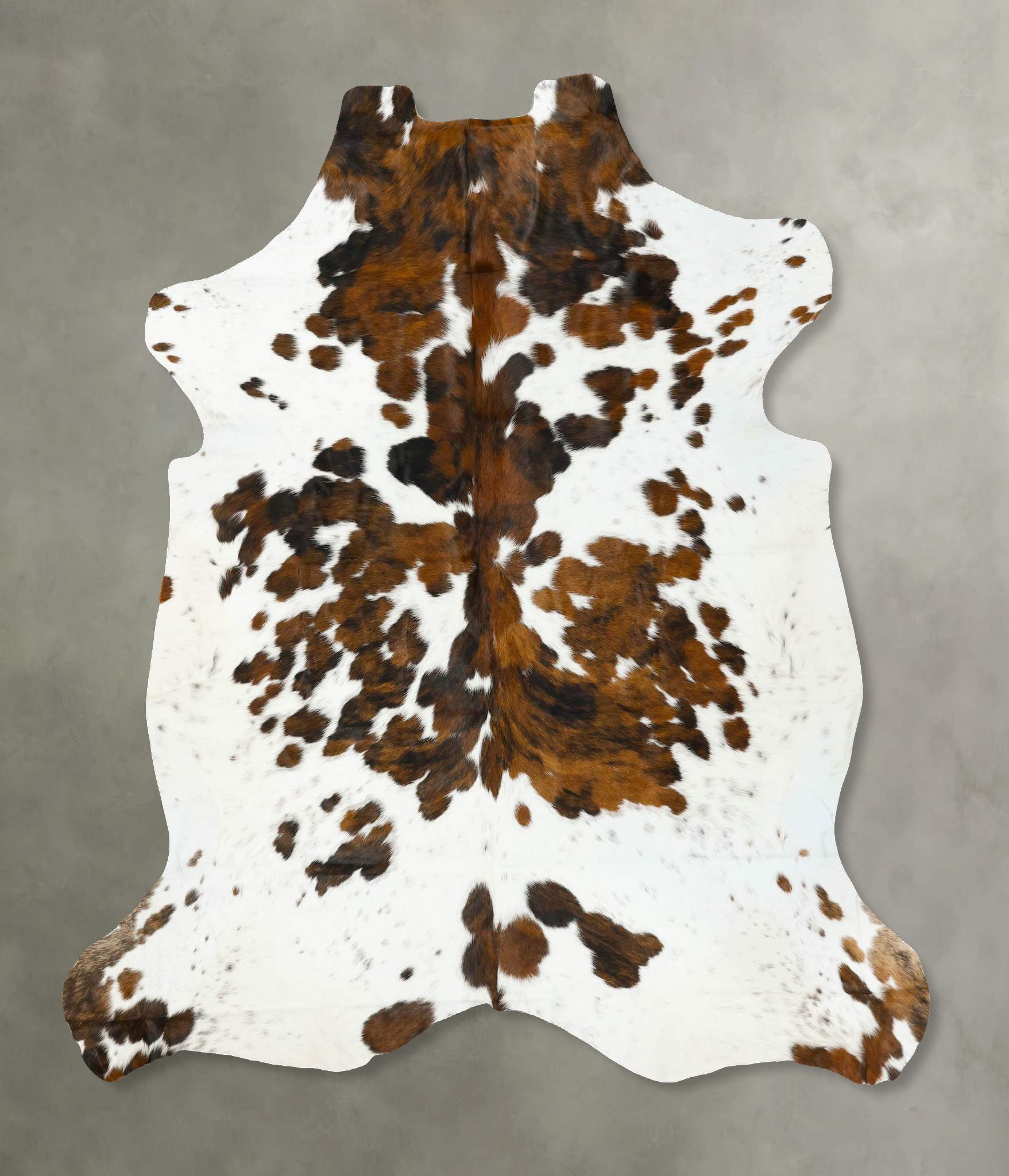 Tricolor Cowhide Rug #B23257