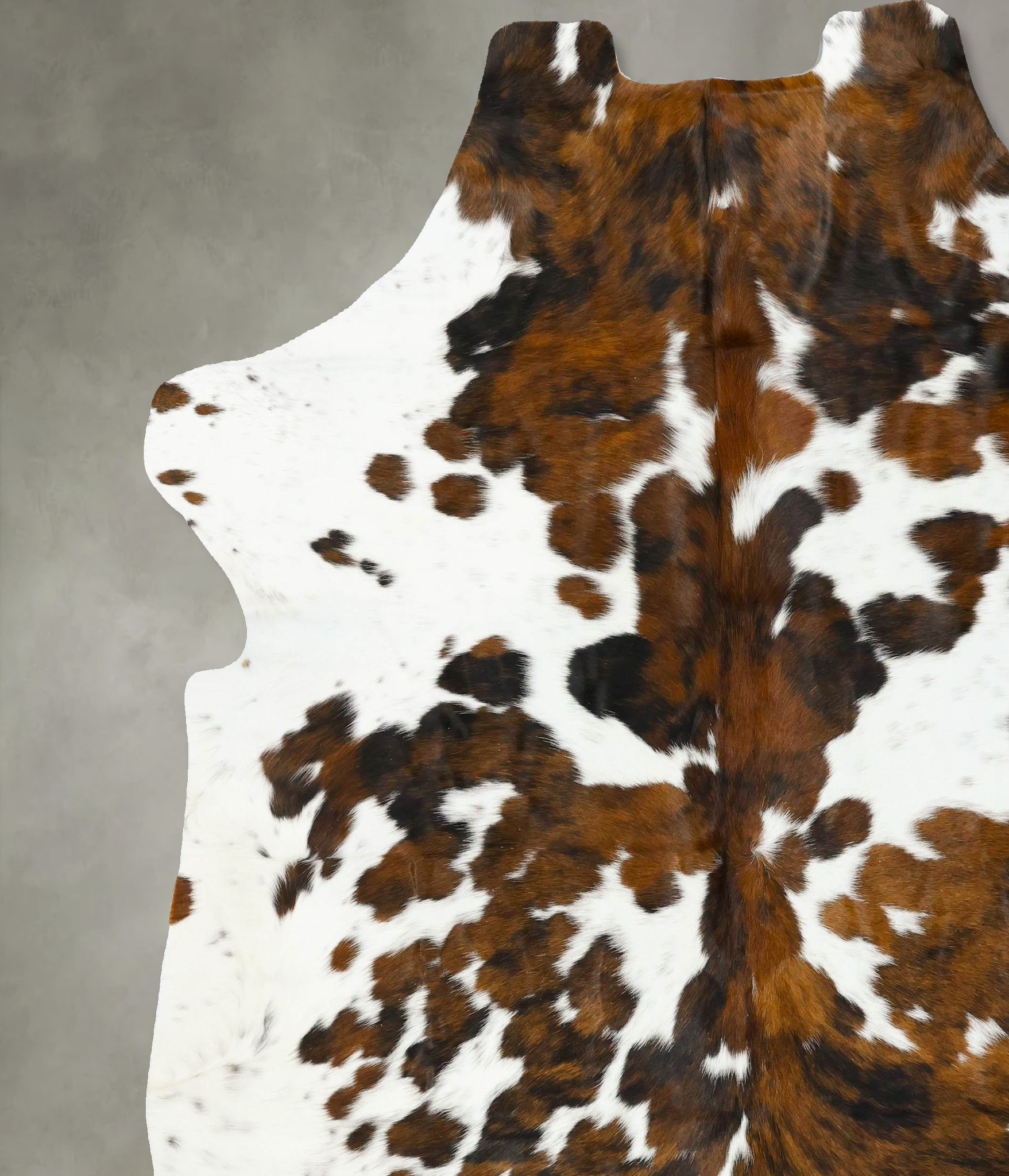 Tricolor Cowhide Rug #B23257