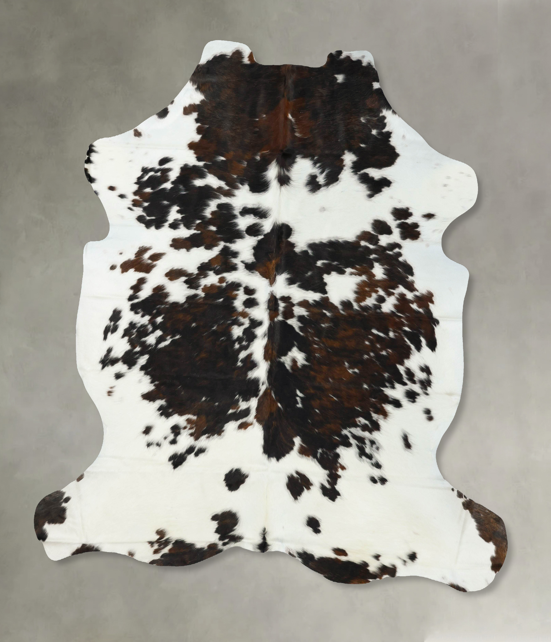 Tricolor Cowhide Rug #B23258