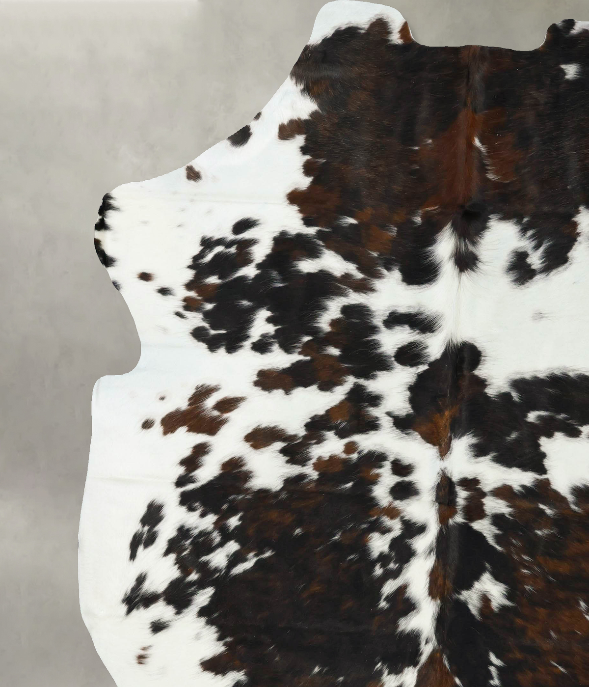 Tricolor XX-Large European Cowhide Rug 8'2"H x 7'3"W #B23258 by Hudson Hides