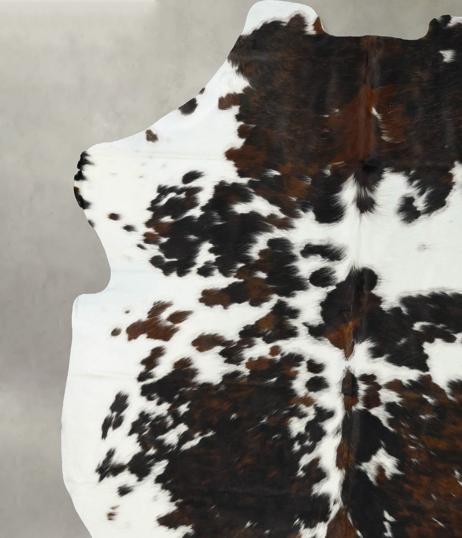 Tricolor Cowhide Rug #B23258