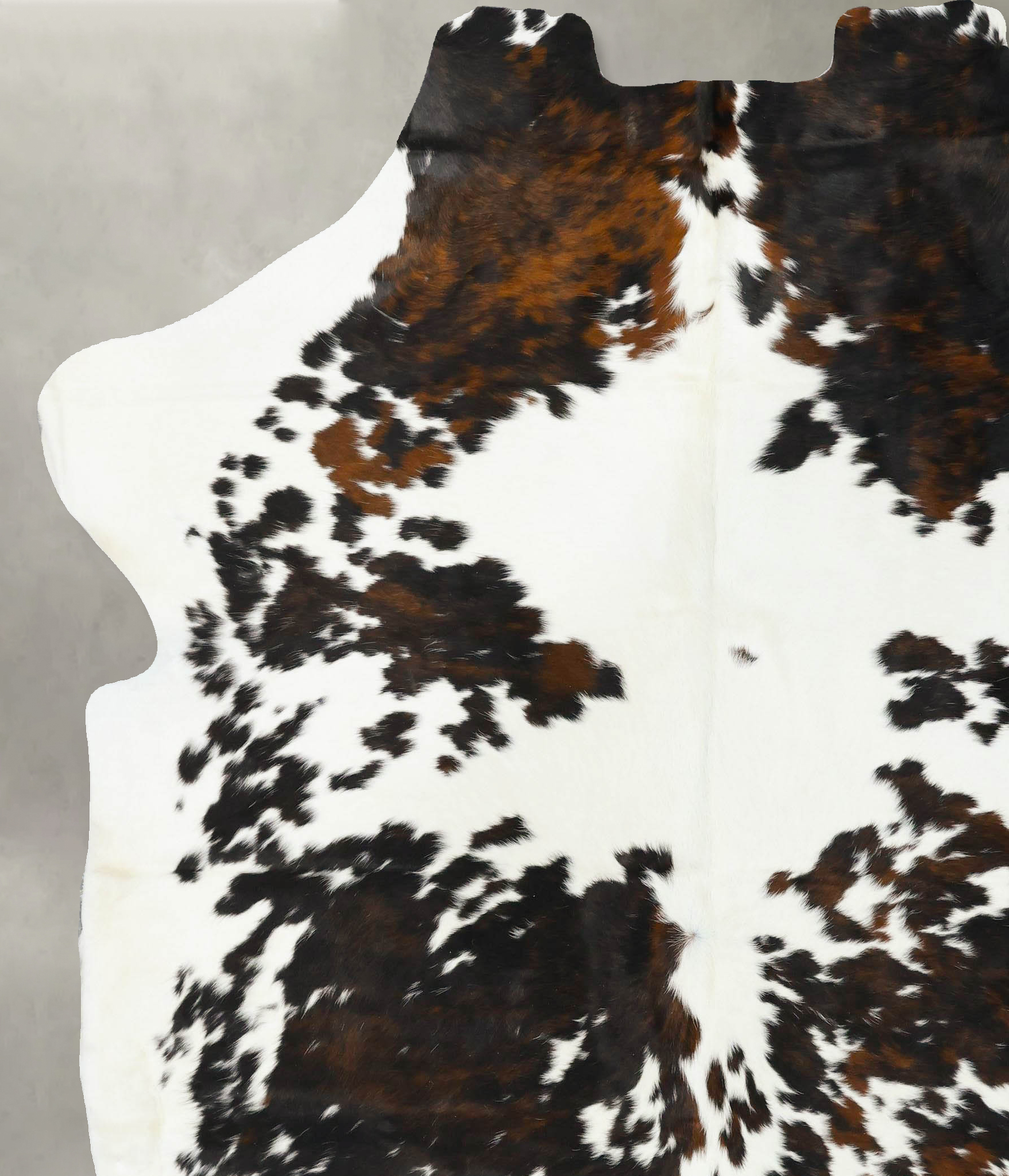 Tricolor Cowhide Rug #B23259
