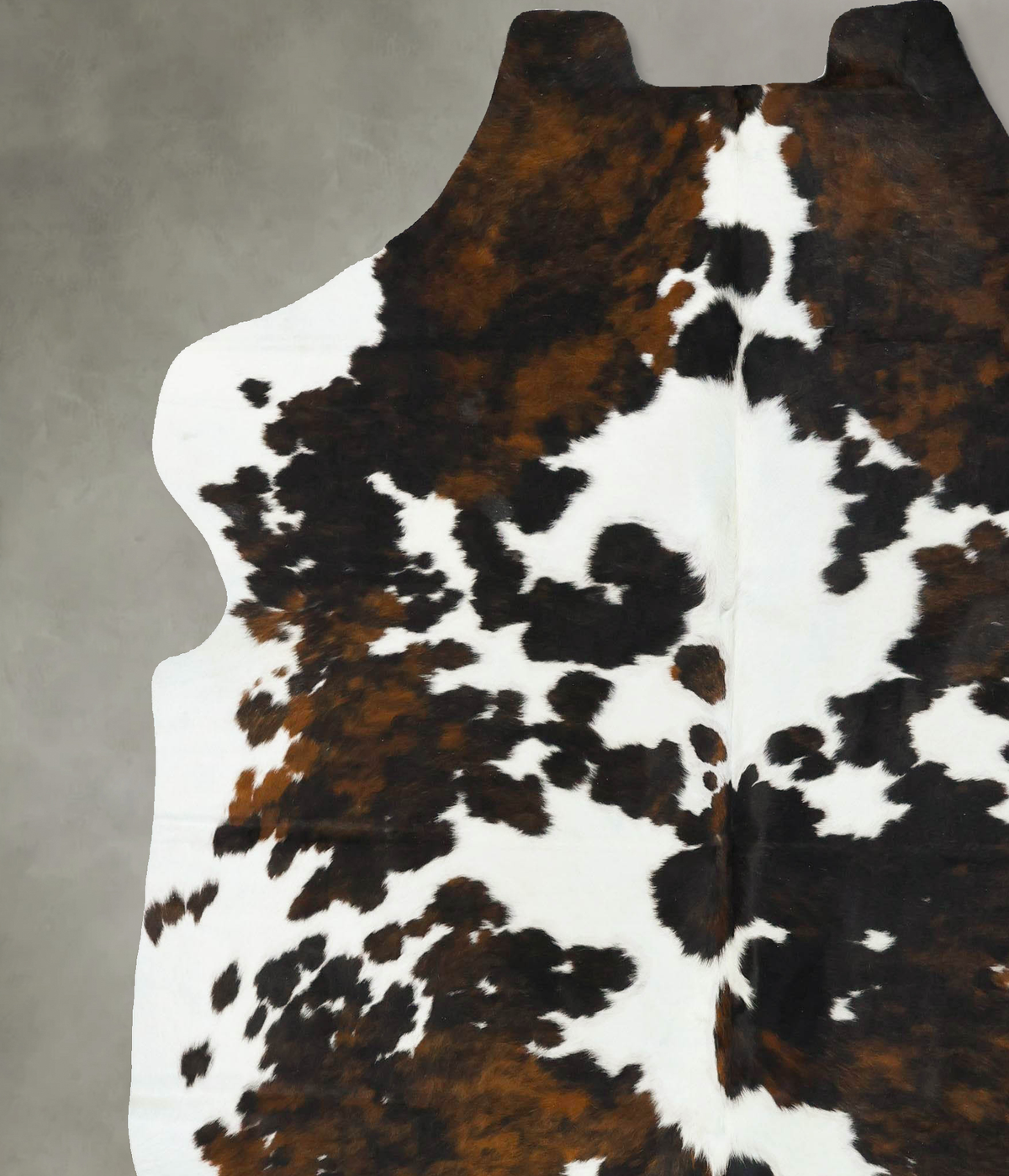 Tricolor XX-Large European Cowhide Rug 7'8"H x 6'9"W #B23265 by Hudson Hides