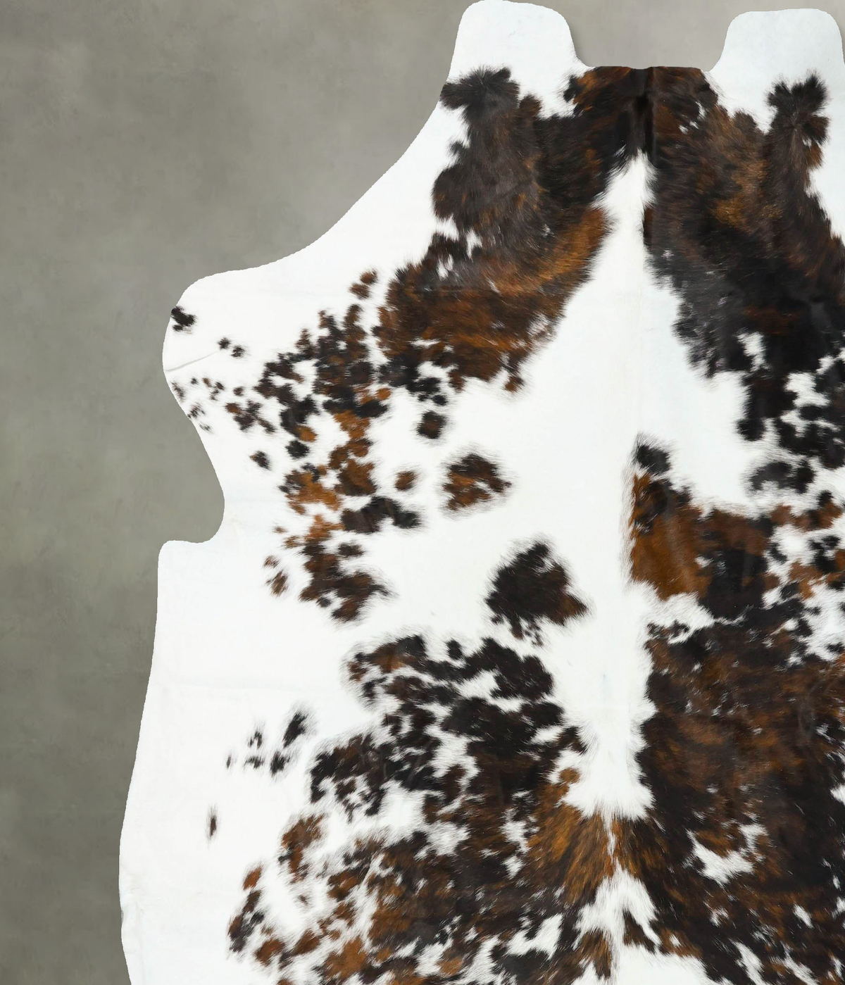 Tricolor XX-Large European Cowhide Rug 8'3"H x 7'9"W #B23267 by Hudson Hides