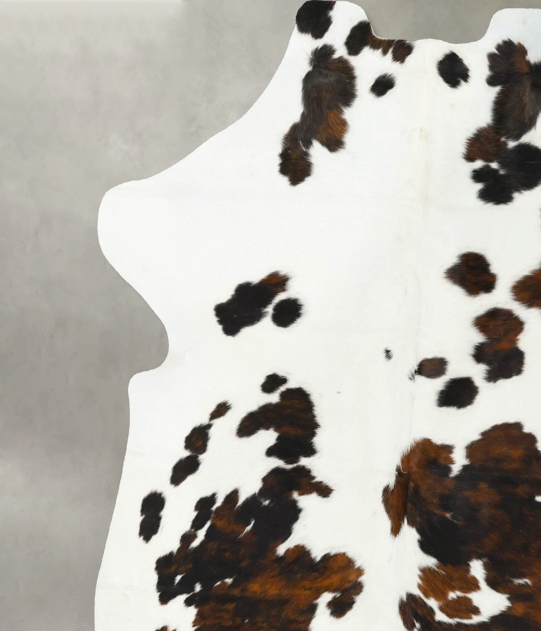 Tricolor Cowhide Rug #B23269