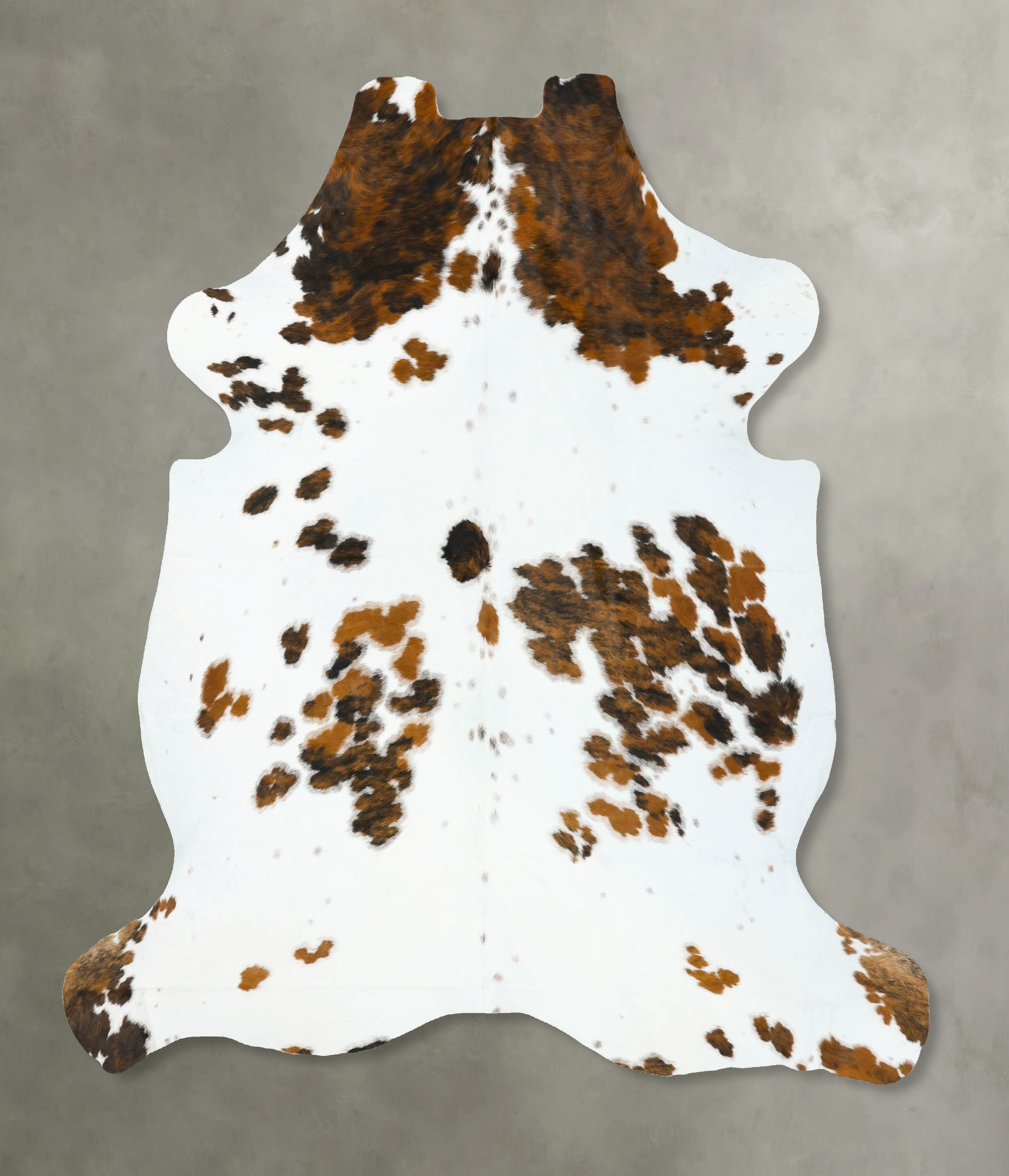 Tricolor Cowhide Rug #B23272