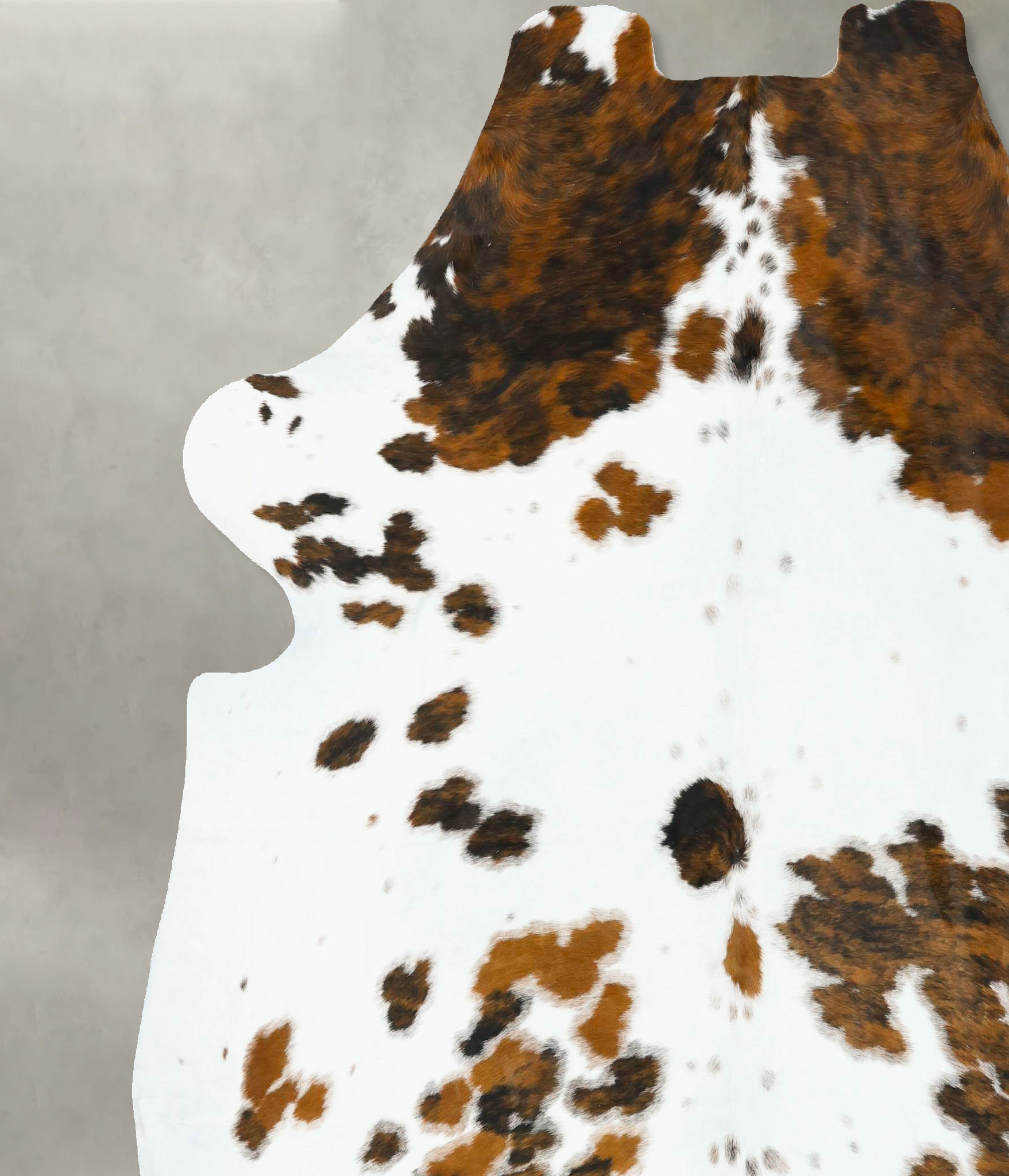 Tricolor Cowhide Rug #B23272