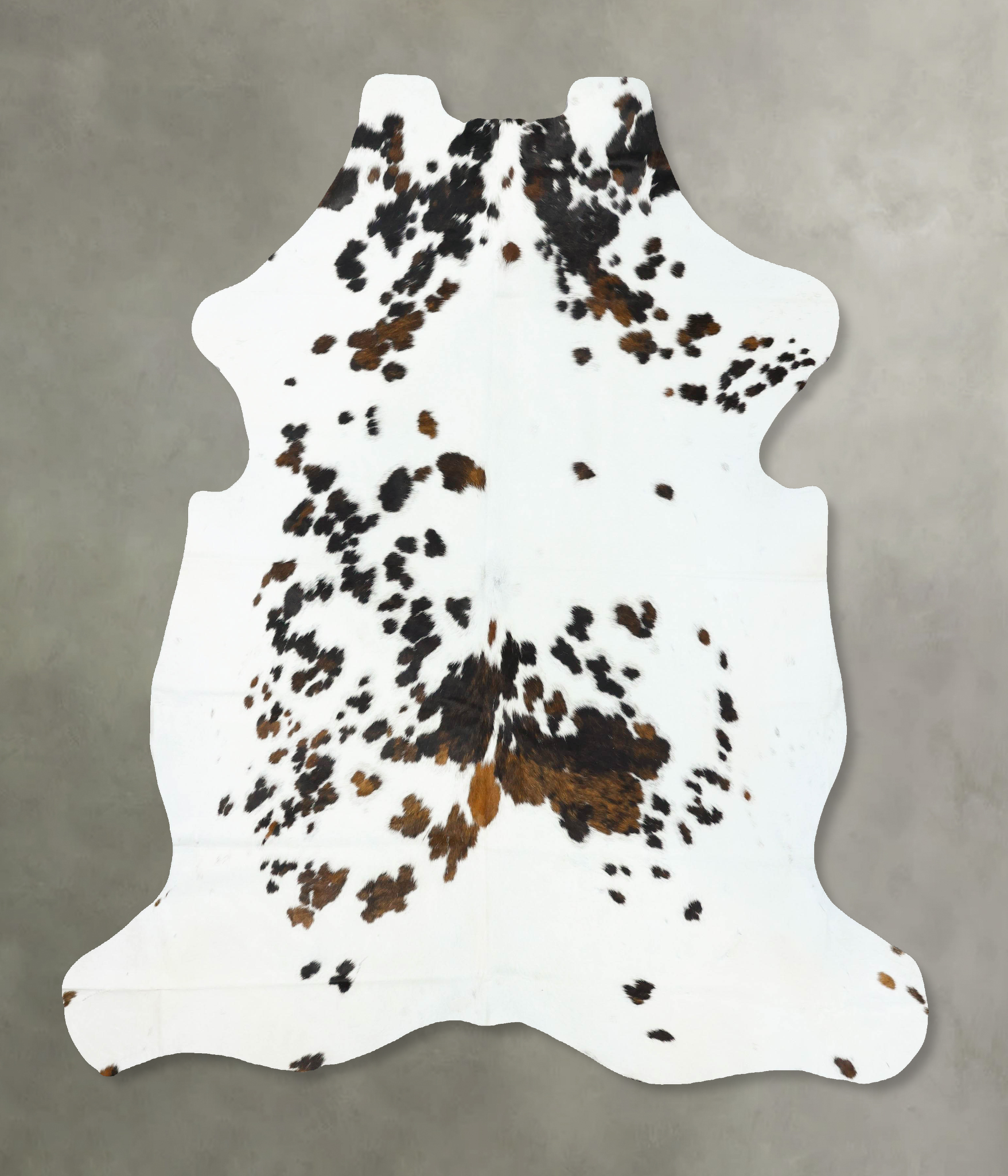 Tricolor Cowhide Rug #B23273