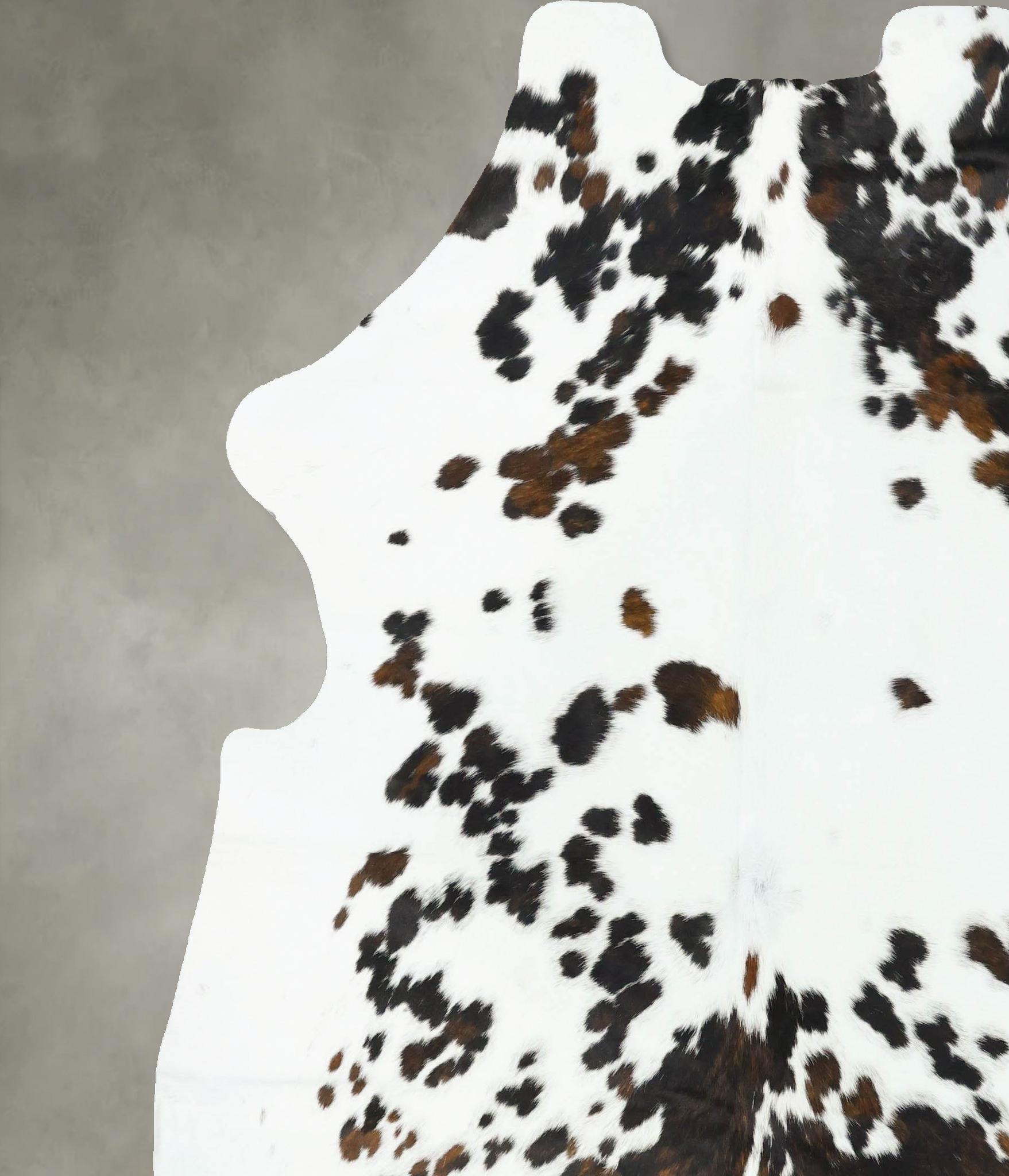 Tricolor Cowhide Rug #B23273
