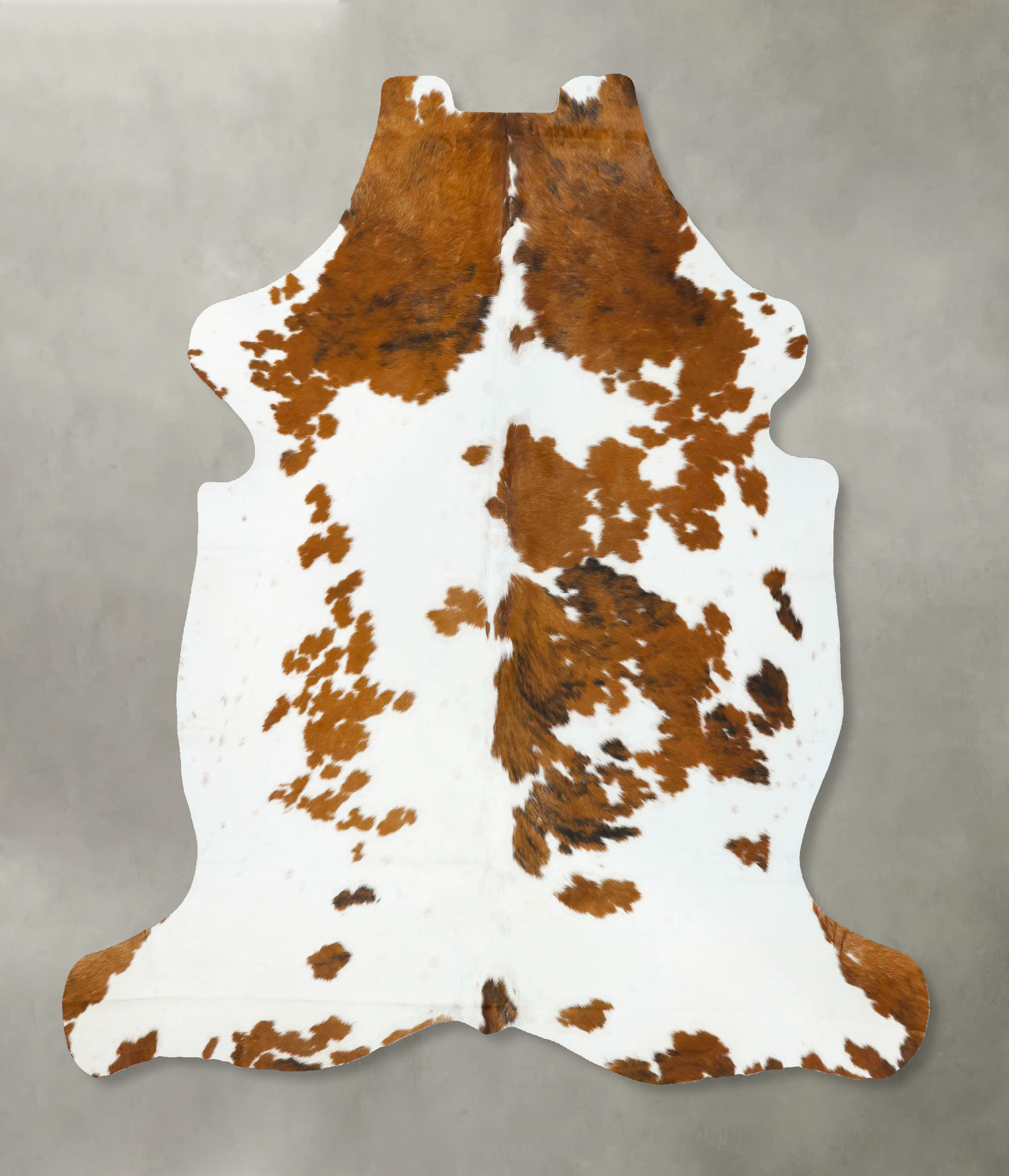 Tricolor Cowhide Rug #B23275