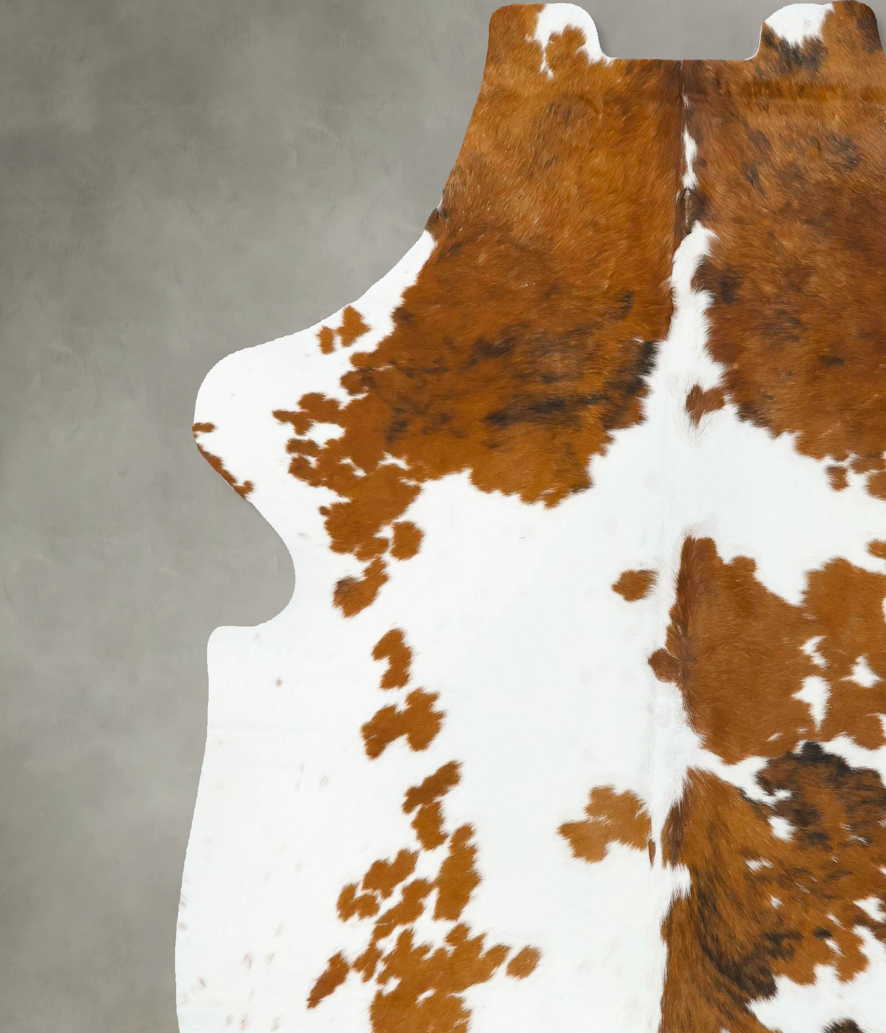 Tricolor Cowhide Rug #B23275