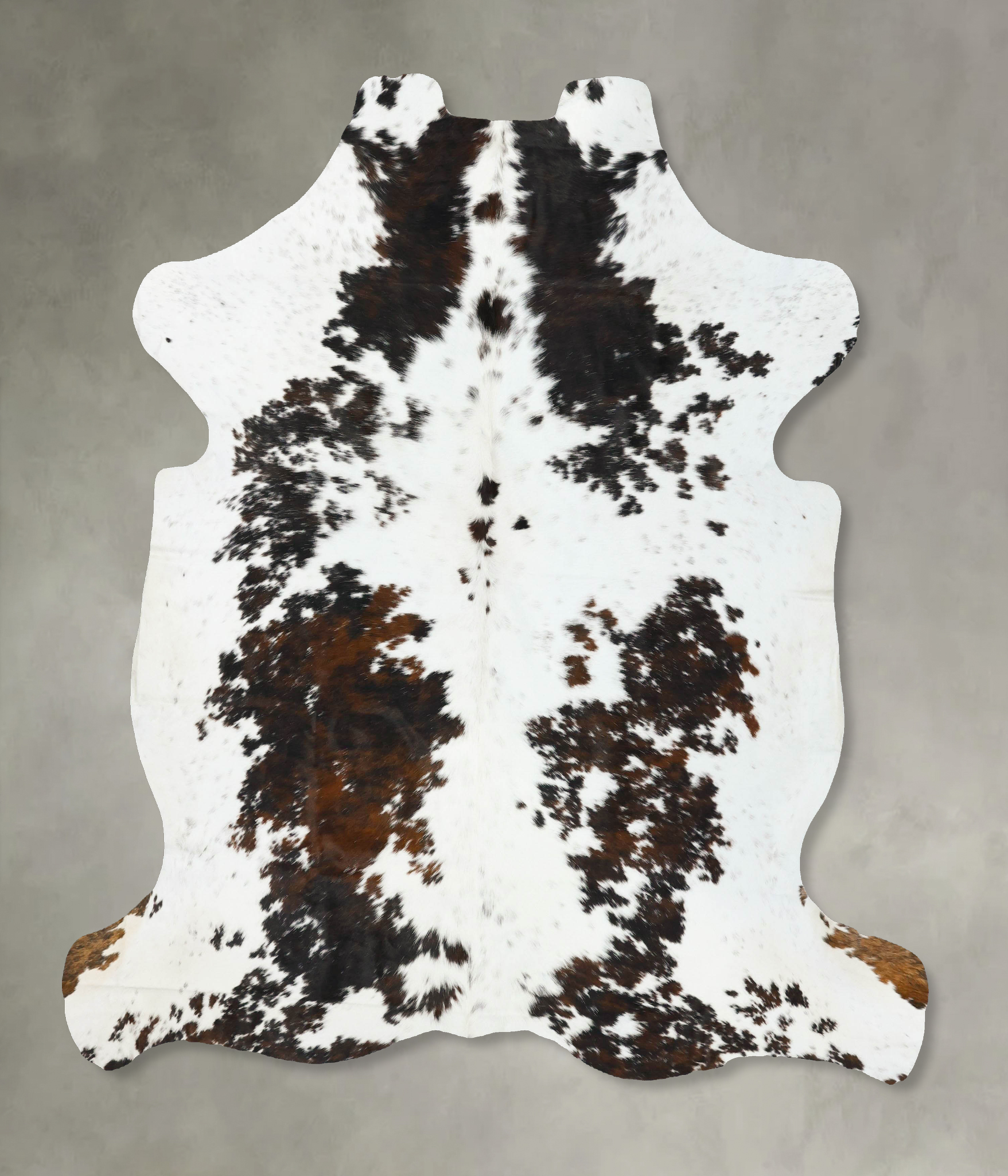 Tricolor Cowhide Rug #B23276