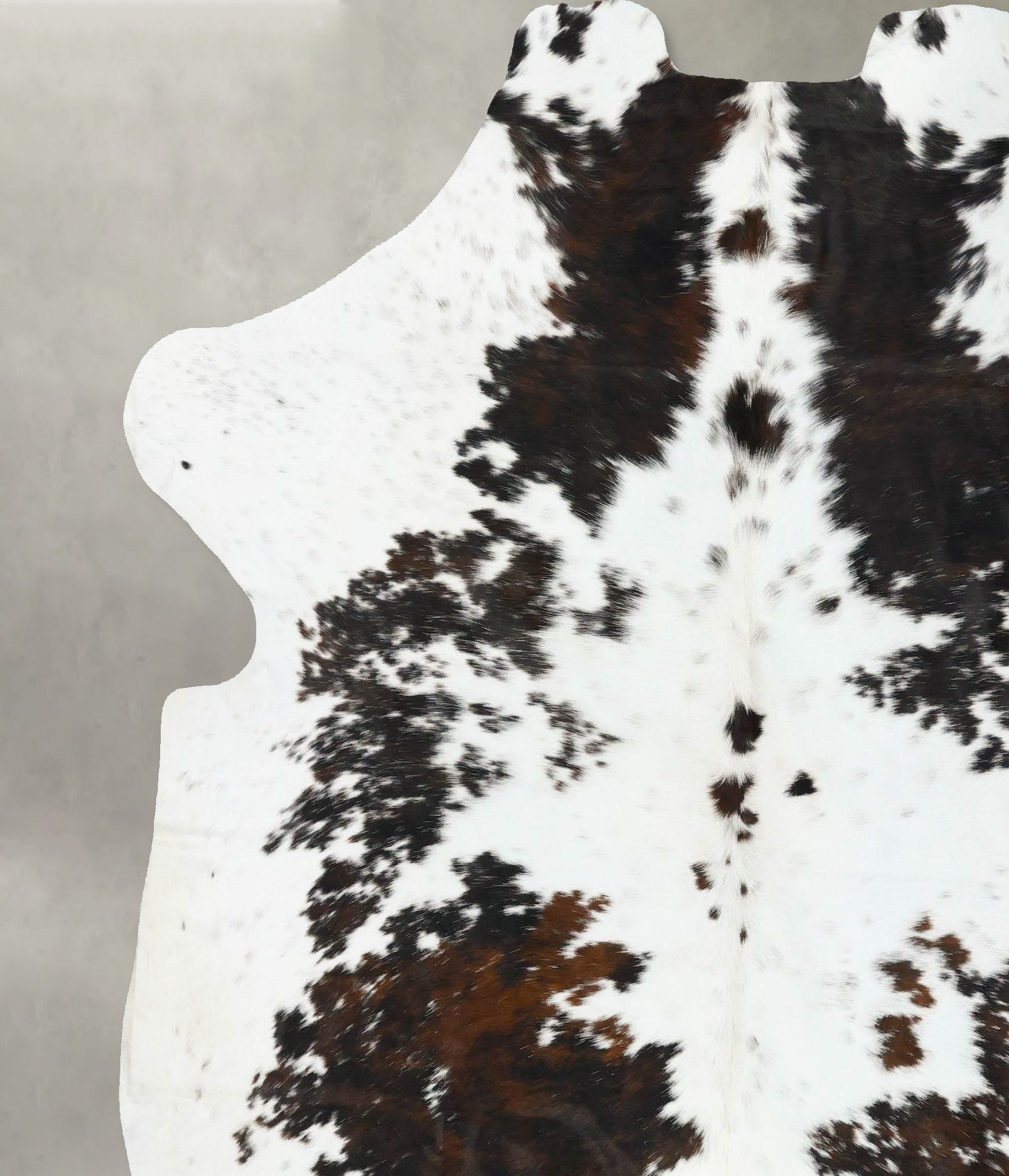 Tricolor Cowhide Rug #B23276