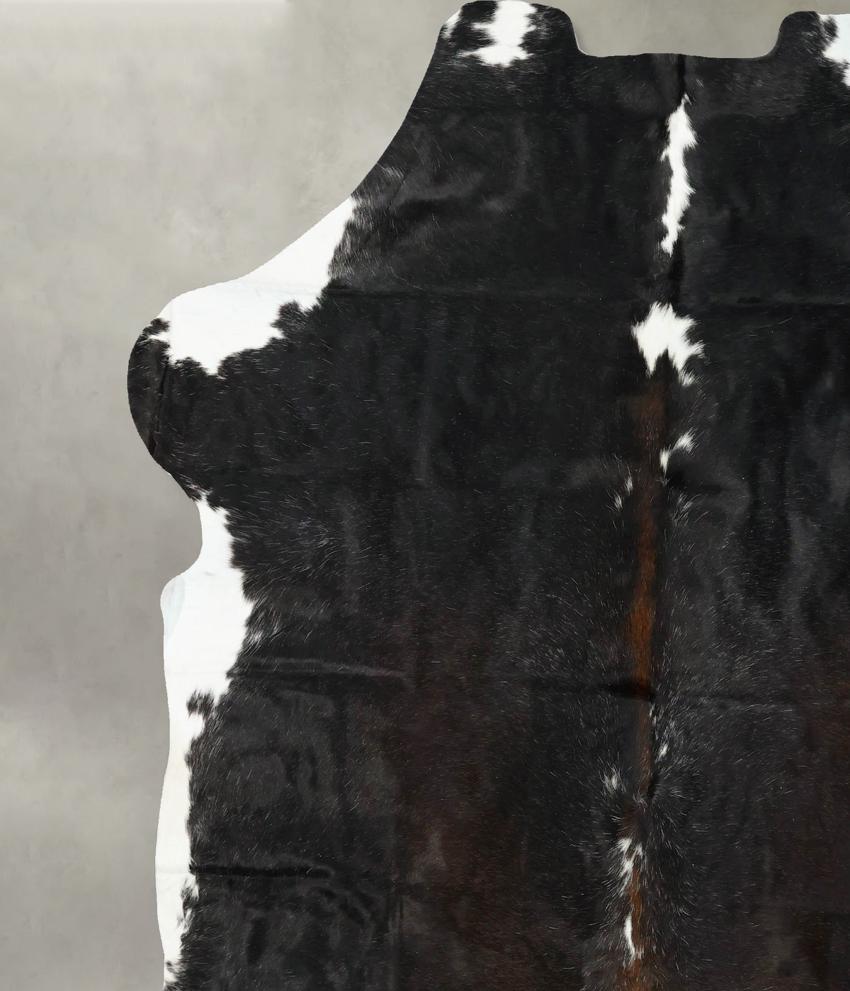 Chocolate and White XX-Large European Cowhide Rug 8'4"H x 7'1"W #B23281 by Hudson Hides