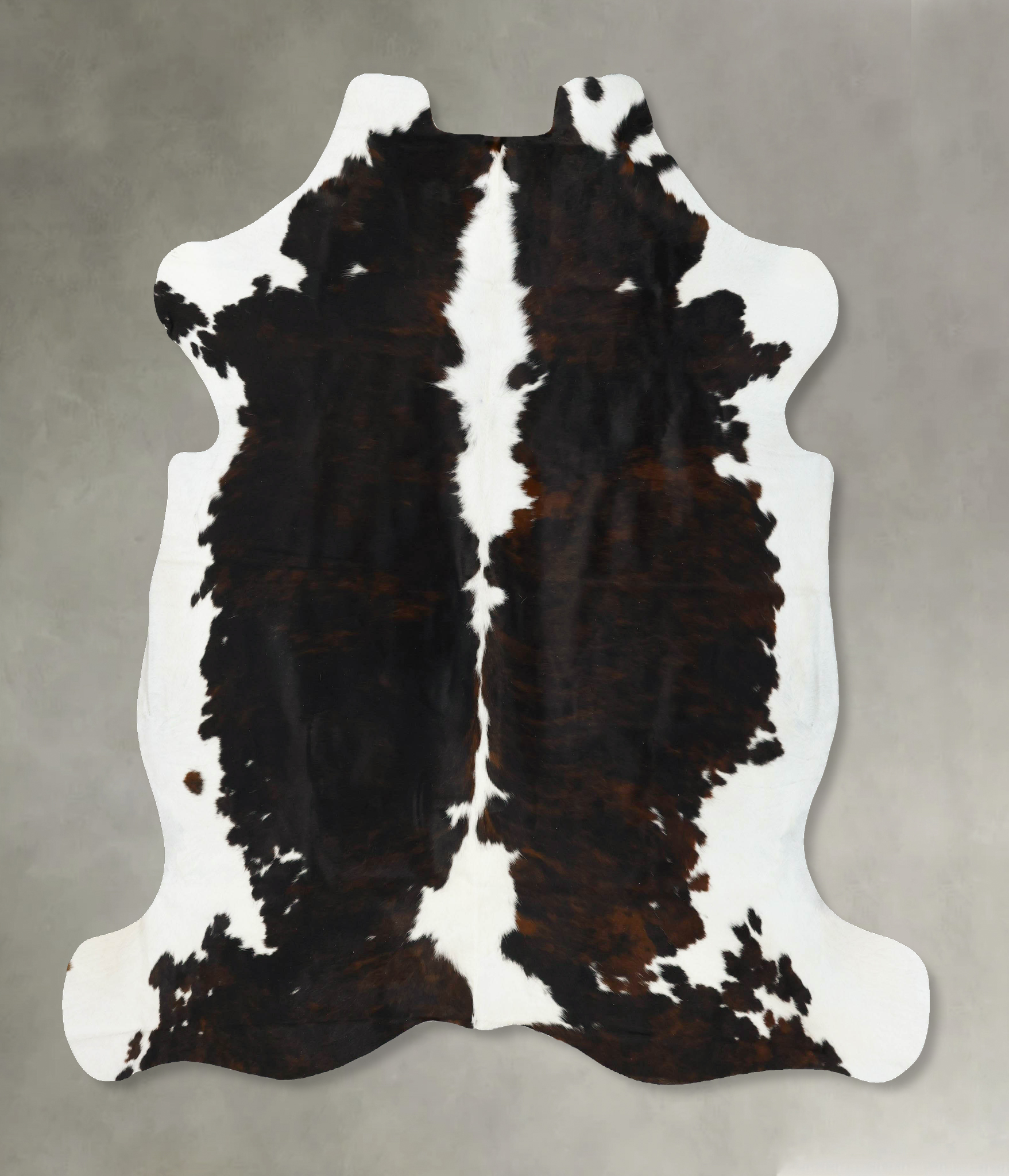 Tricolor Cowhide Rug #B23311