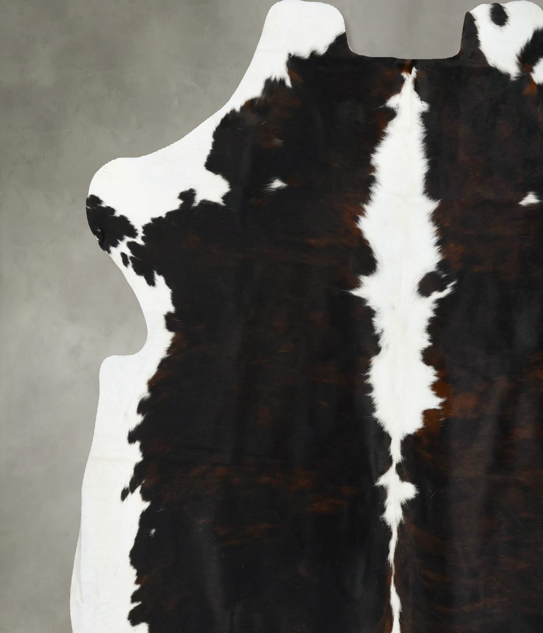 Tricolor Cowhide Rug #B23311
