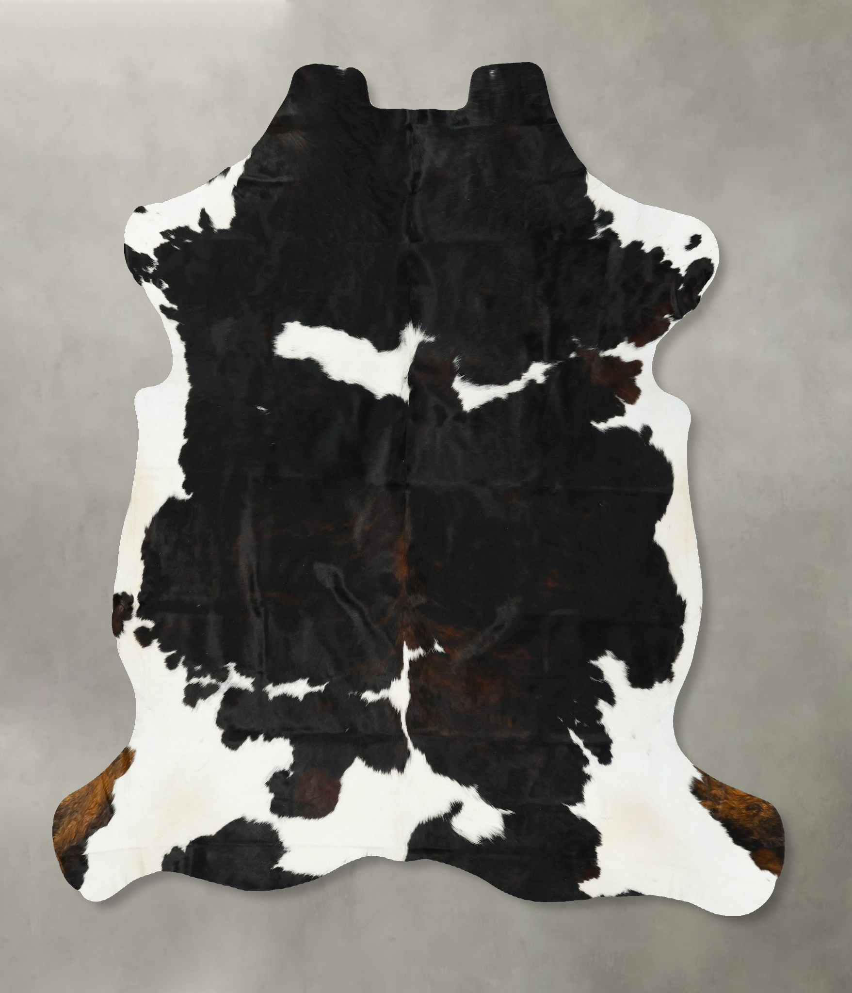 Tricolor Cowhide Rug #B23321