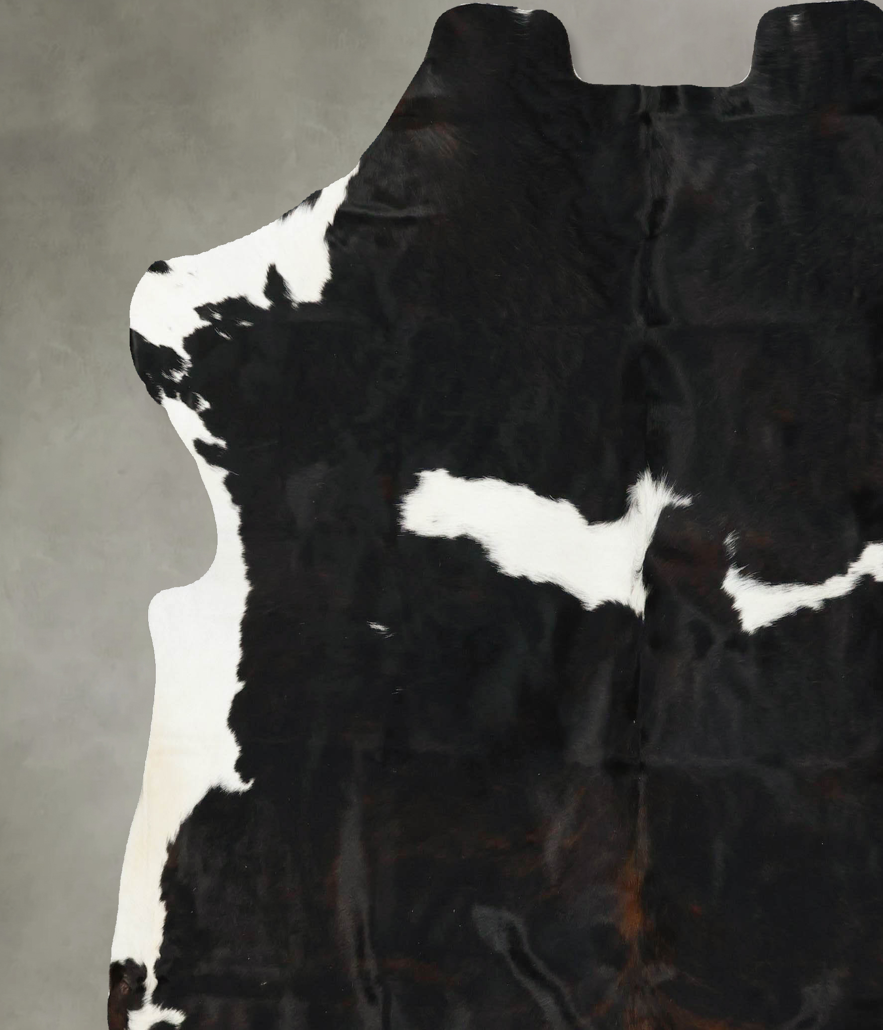 Tricolor Cowhide Rug #B23321