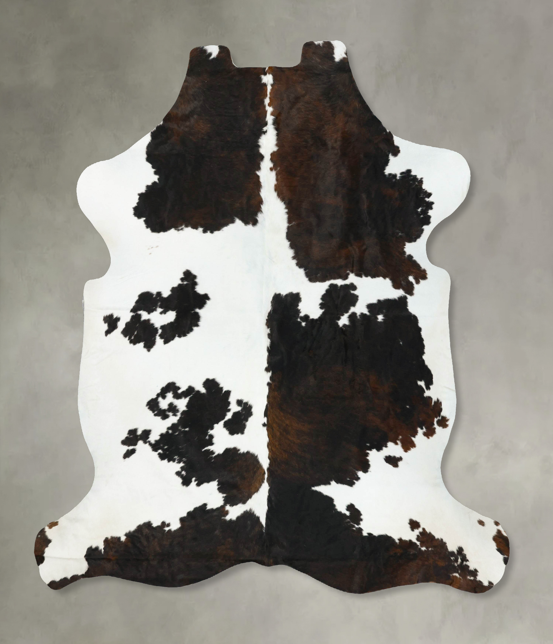 Tricolor Cowhide Rug #B23322