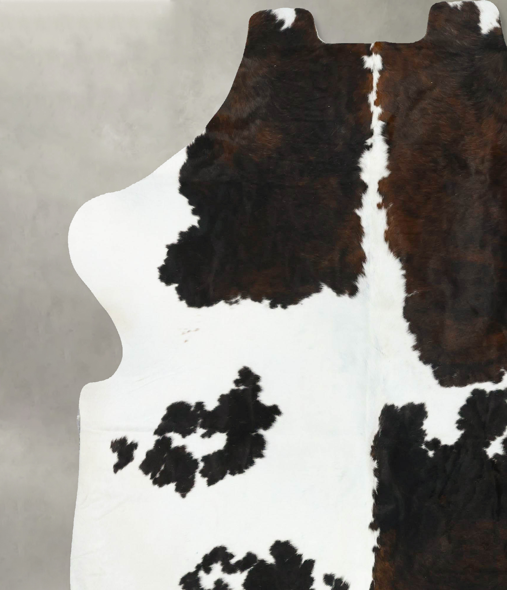 Tricolor Cowhide Rug #B23322