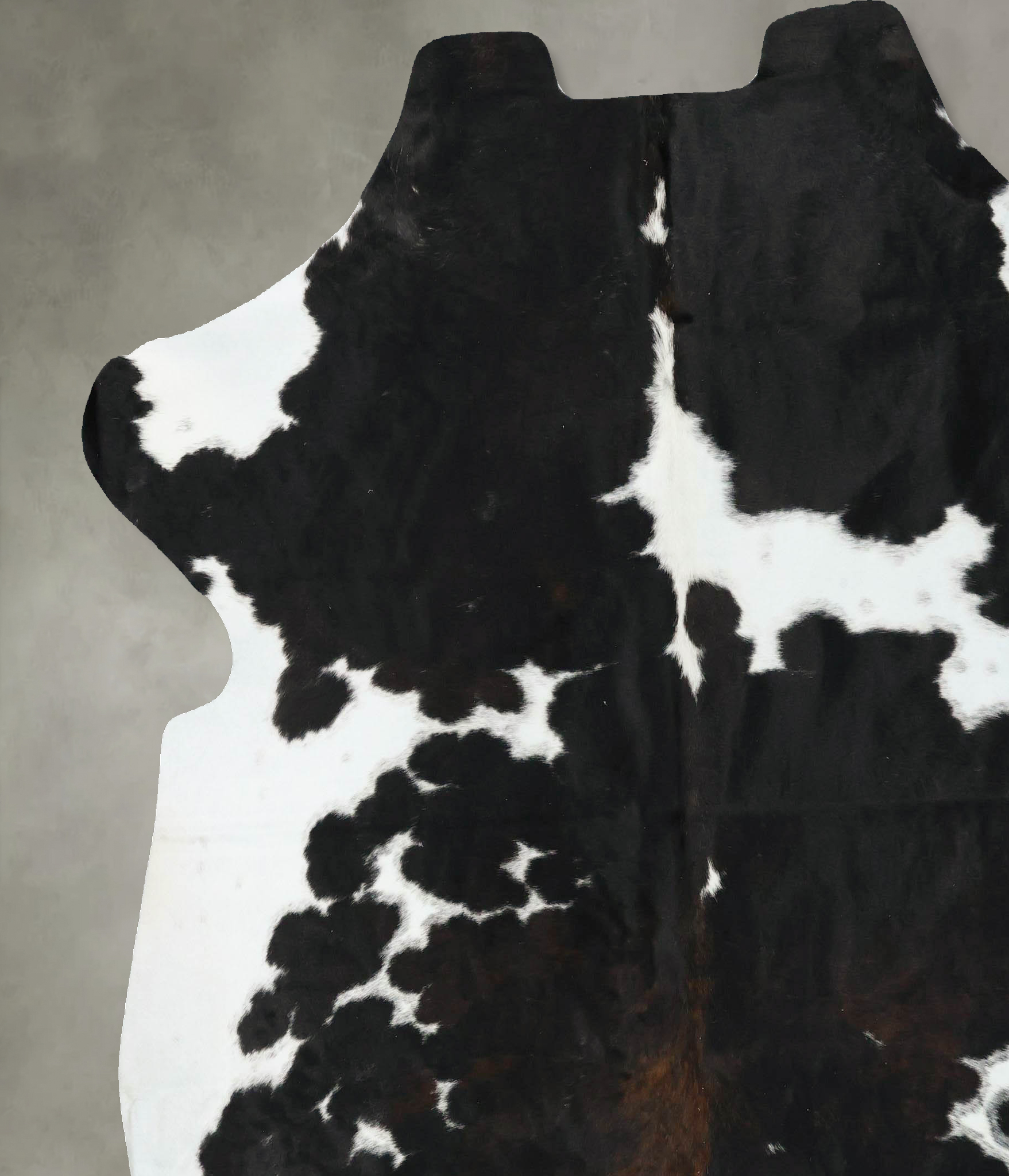 Tricolor Cowhide Rug #B23323