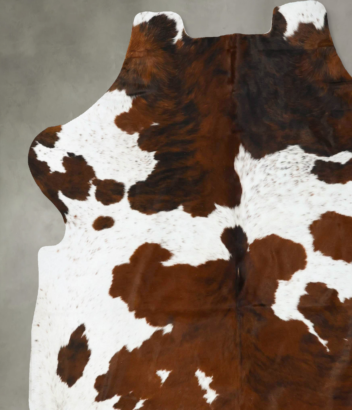 Tricolor XX-Large European Cowhide Rug 7'6"H x 6'10"W #B23326 by Hudson Hides