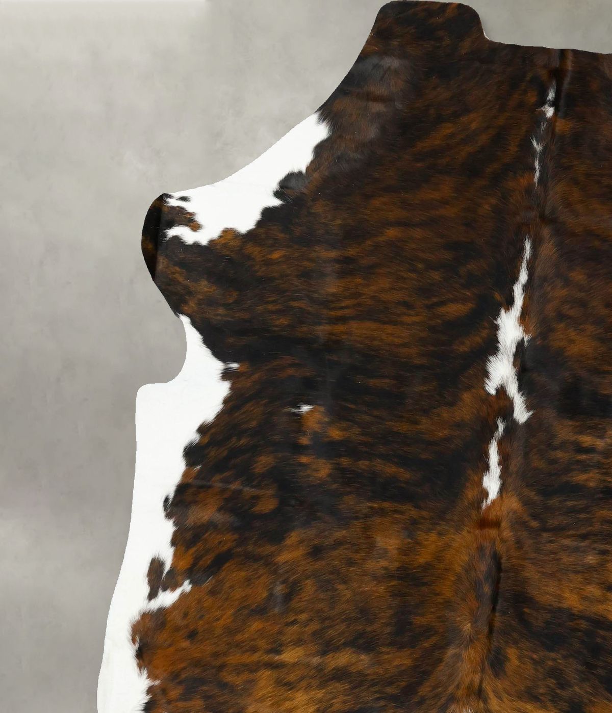 Tricolor X-Large European Cowhide Rug 7'8"H x 6'4"W #B23329 by Hudson Hides
