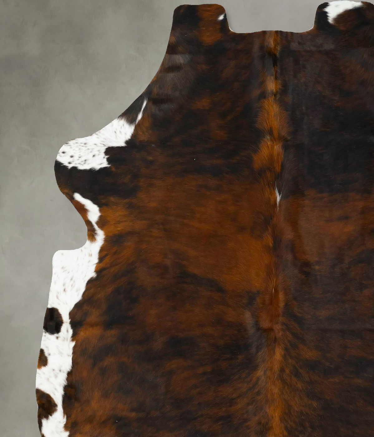 Tricolor XX-Large European Cowhide Rug 7'7"H x 6'9"W #B23330 by Hudson Hides