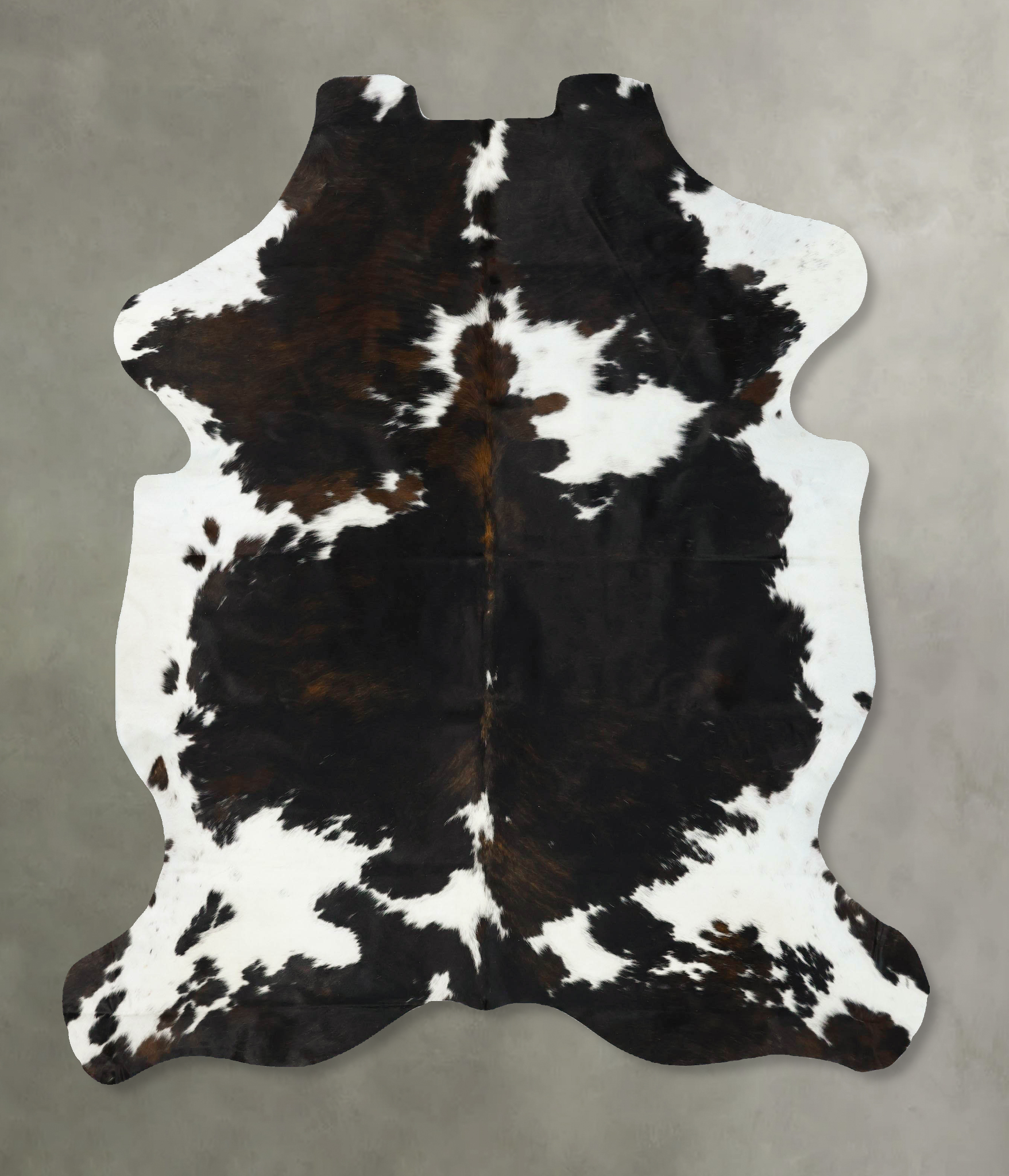 Tricolor Cowhide Rug #B23334