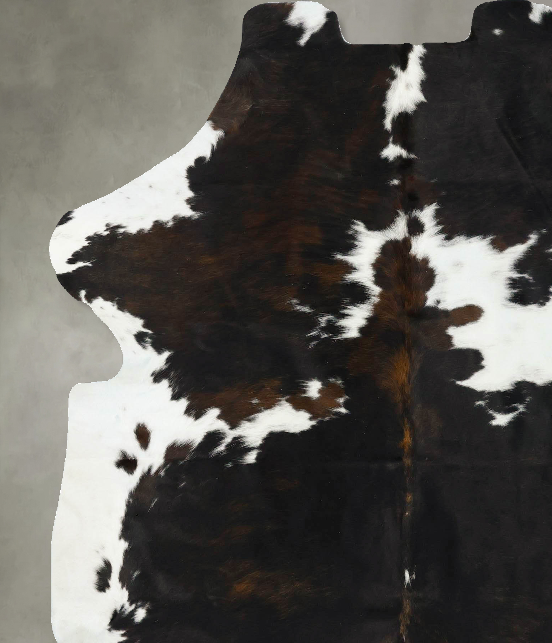 Tricolor Cowhide Rug #B23334
