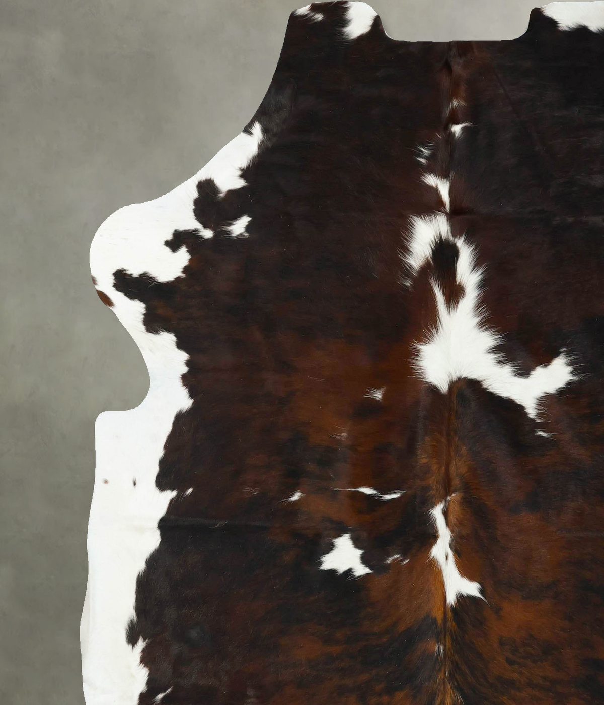 Tricolor X-Large European Cowhide Rug 7'4"H x 6'8"W #B23336 by Hudson Hides