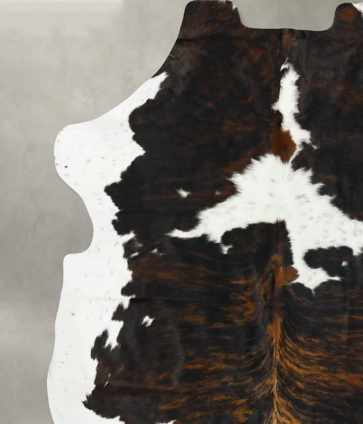 Tricolor XX-Large European Cowhide Rug 7'11"H x 7'0"W #B23350 by Hudson Hides