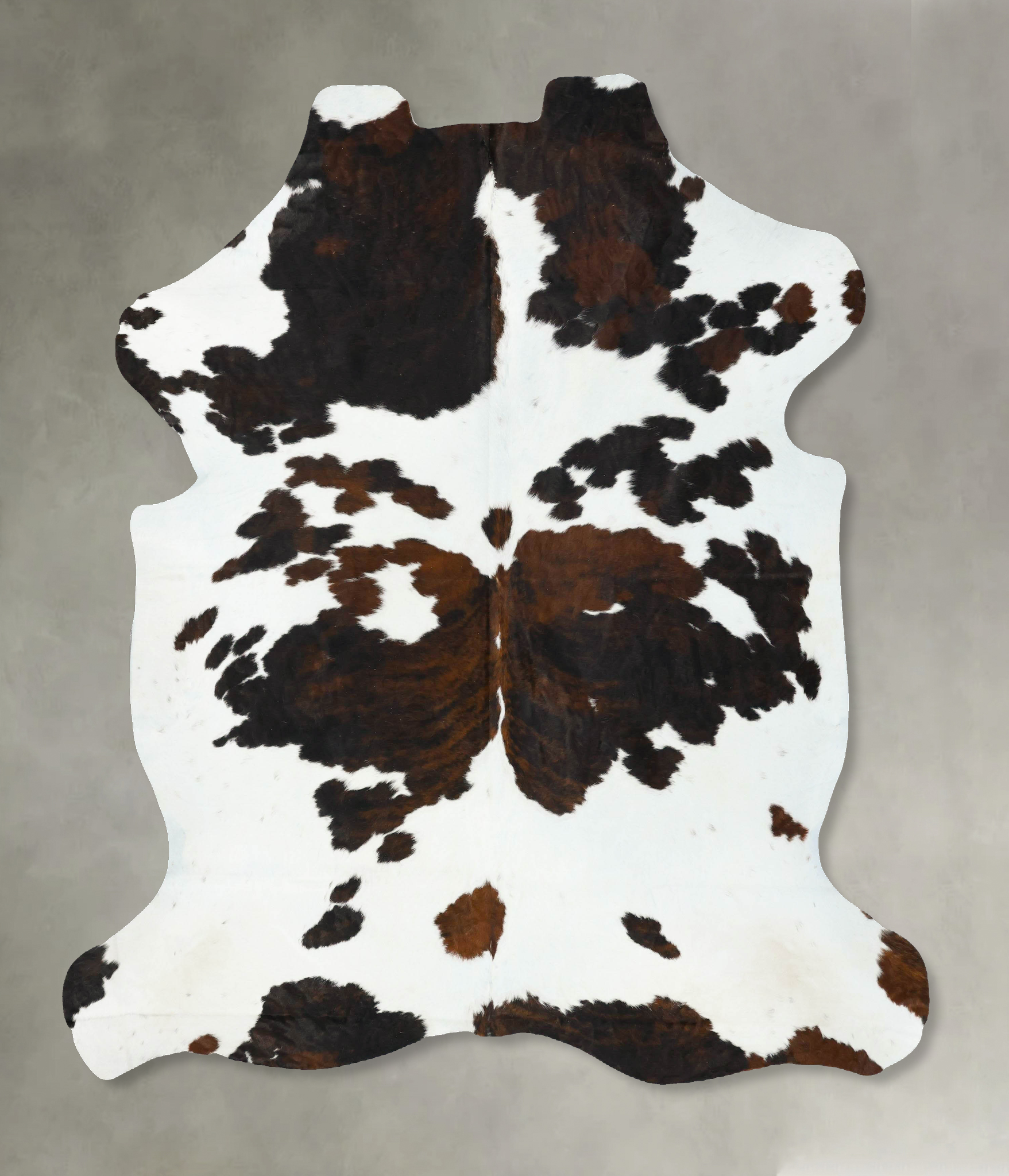 Tricolor Cowhide Rug #B23355