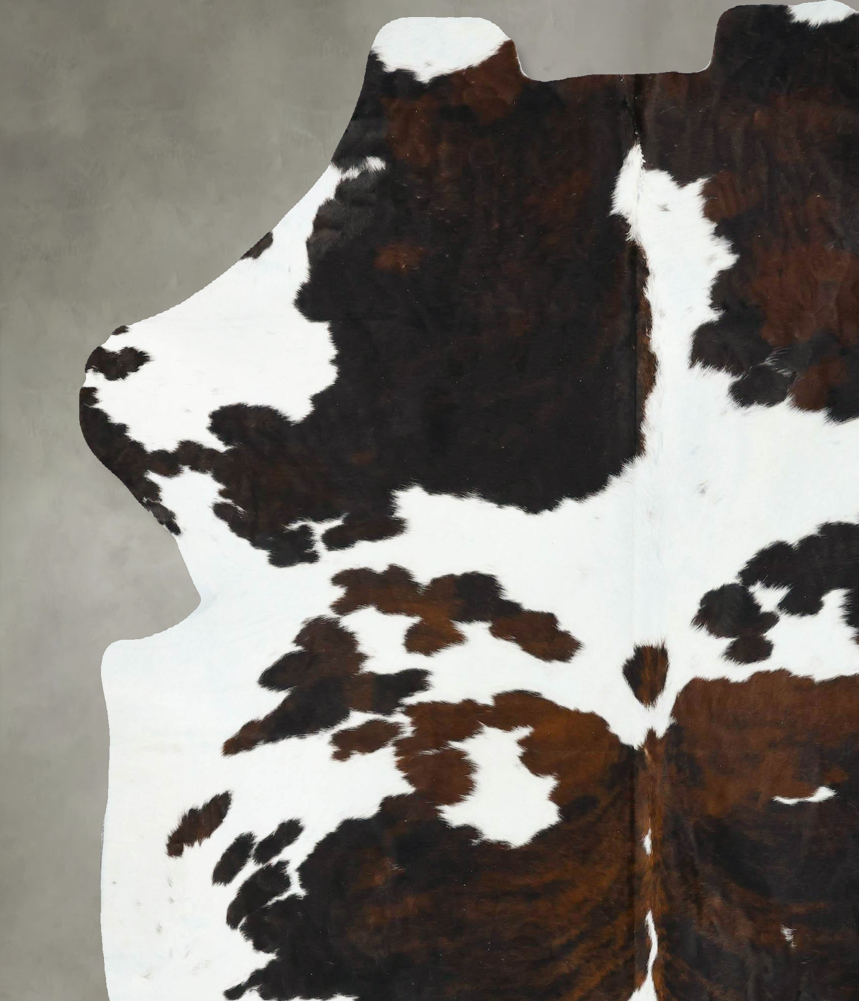 Tricolor Cowhide Rug #B23355
