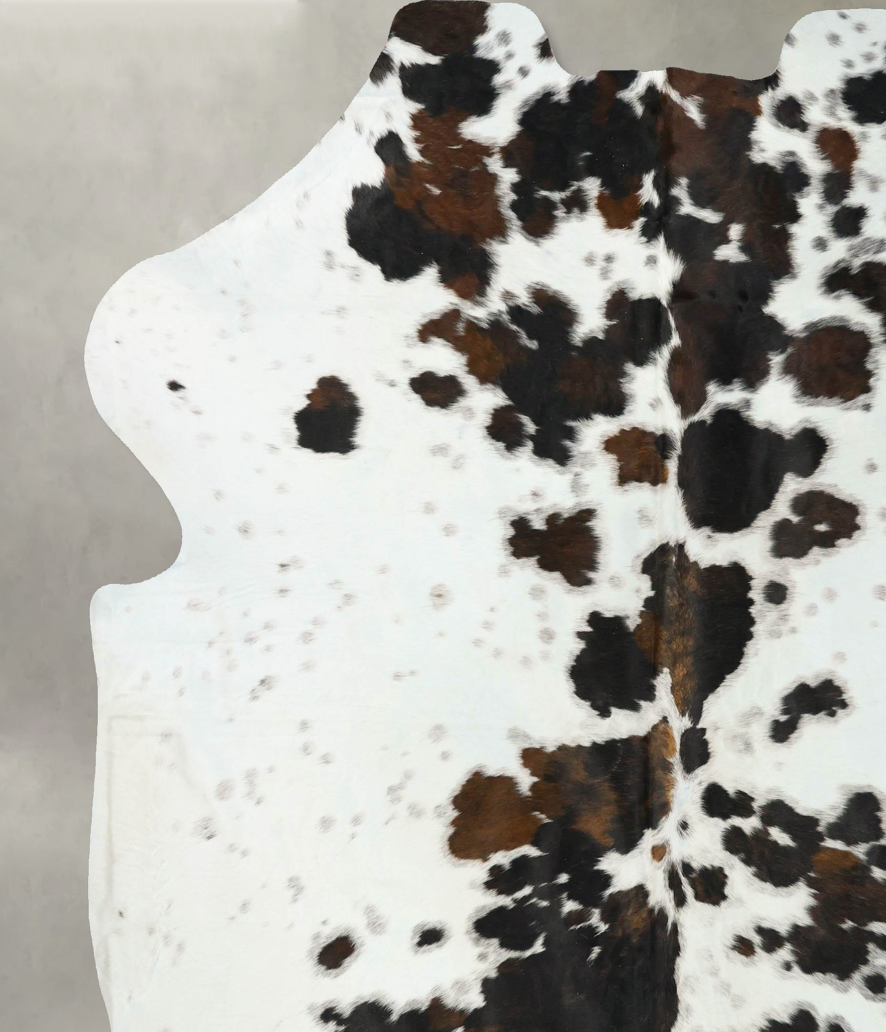 Tricolor Cowhide Rug #B23356
