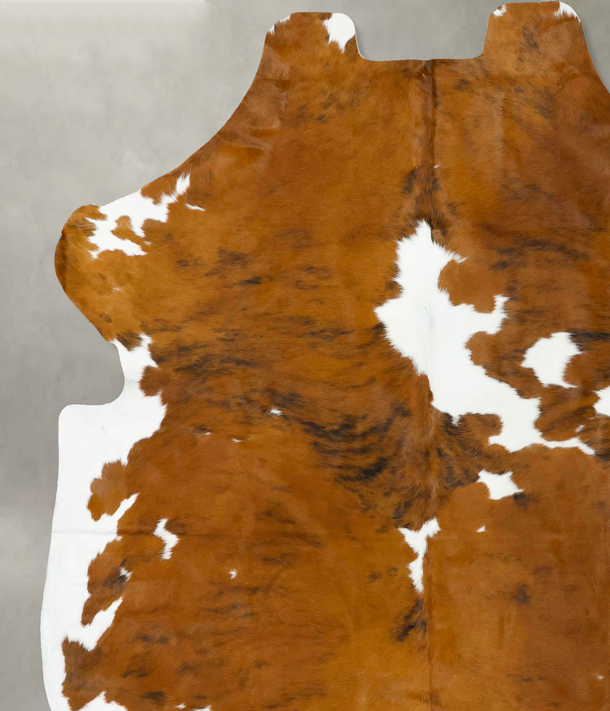 Tricolor XX-Large European Cowhide Rug 7'10"H x 7'1"W #B23357 by Hudson Hides